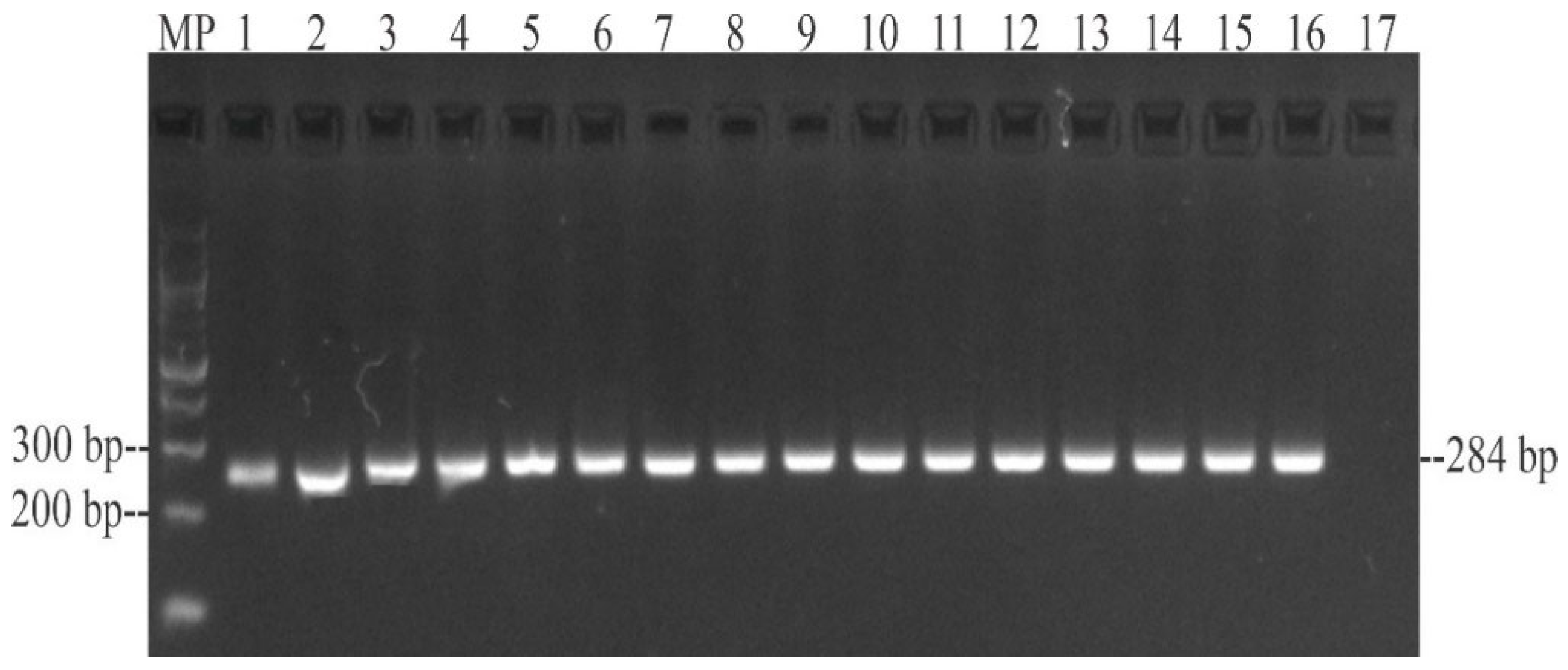 Animals 12 03359 g001 Animals 12 03359 g001