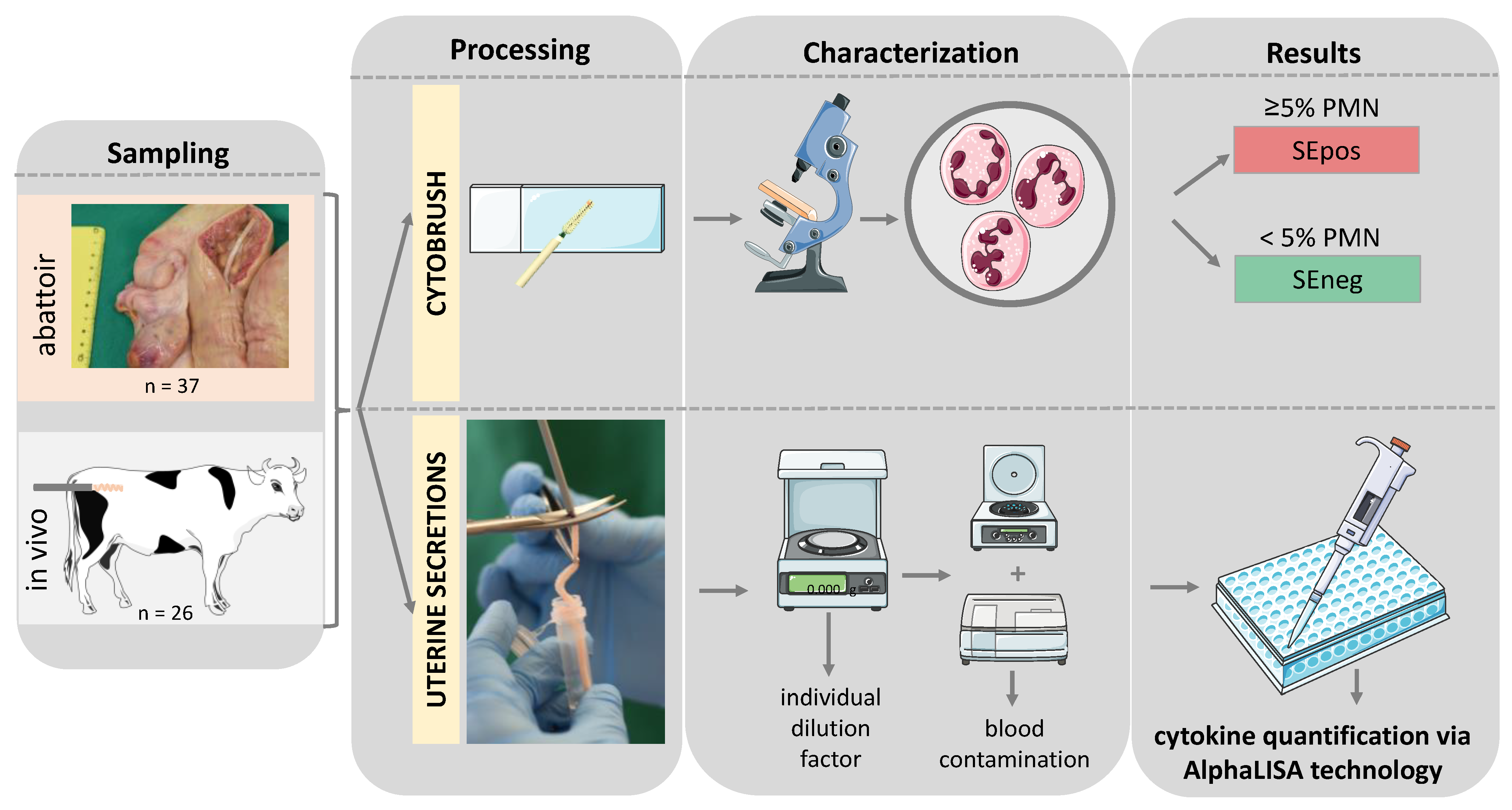 Animals 12 03363 g001 Animals 12 03363 g001