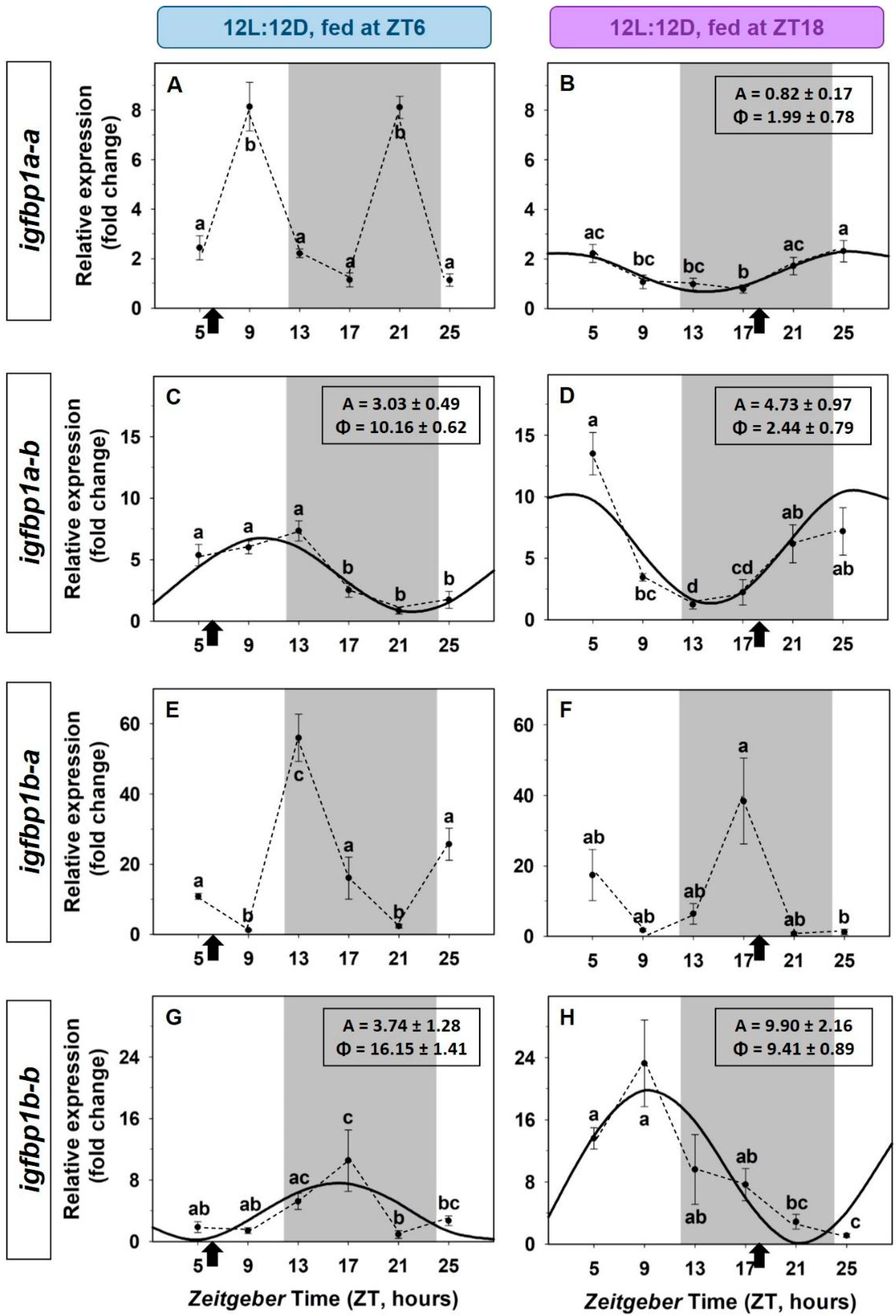 Animals 12 03371 g006