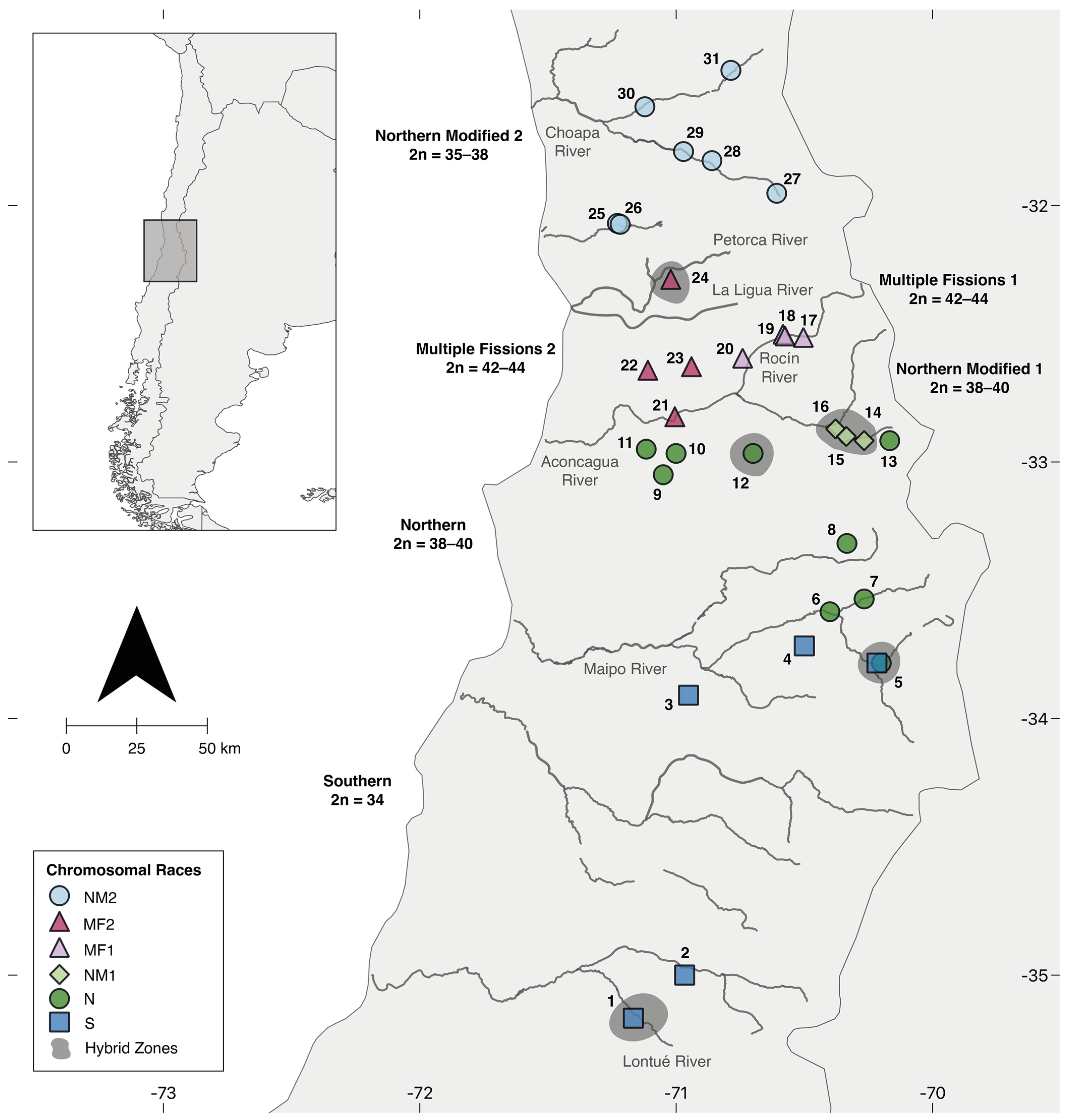 Animals 12 03372 g001