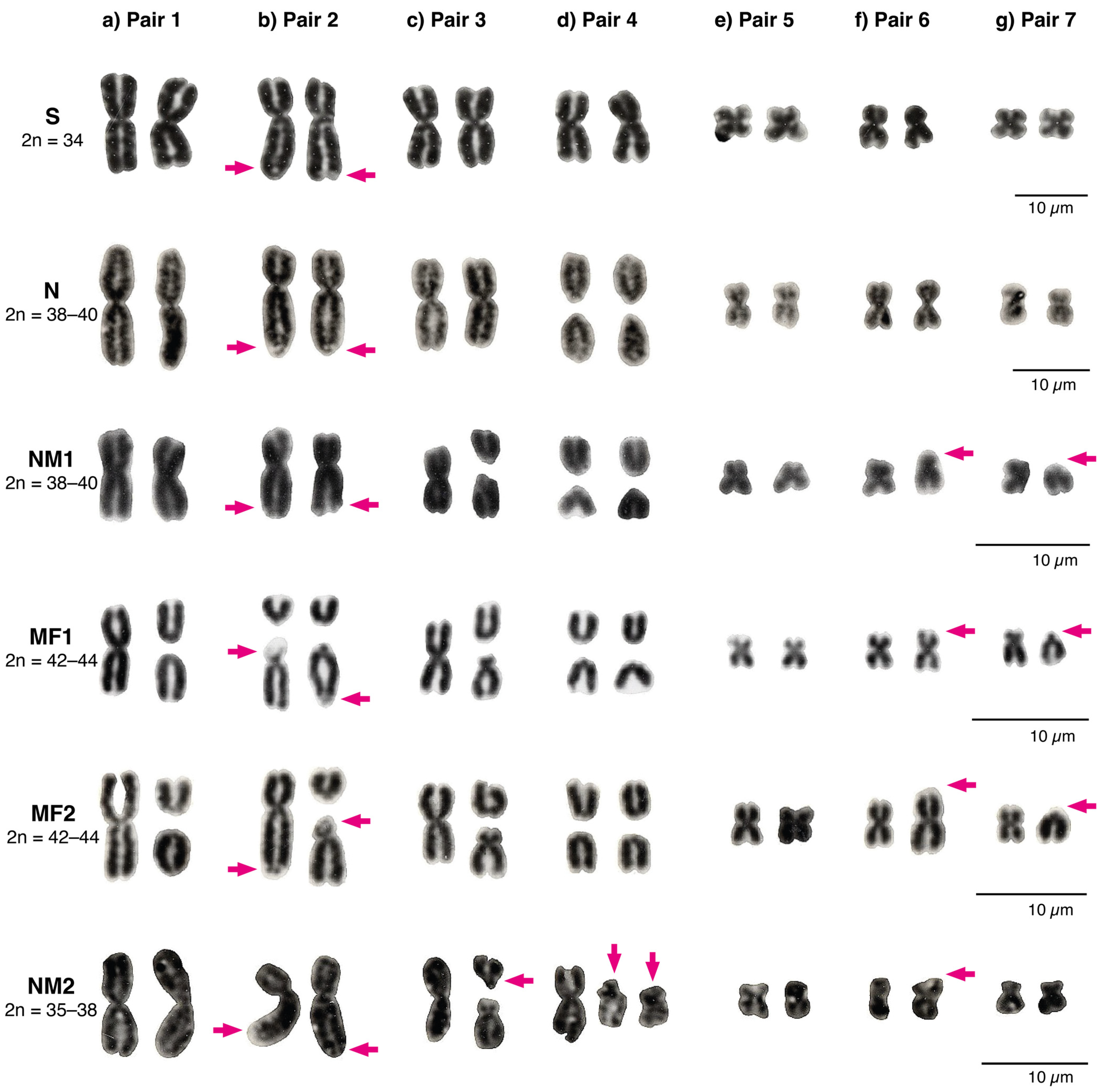 Animals 12 03372 g003