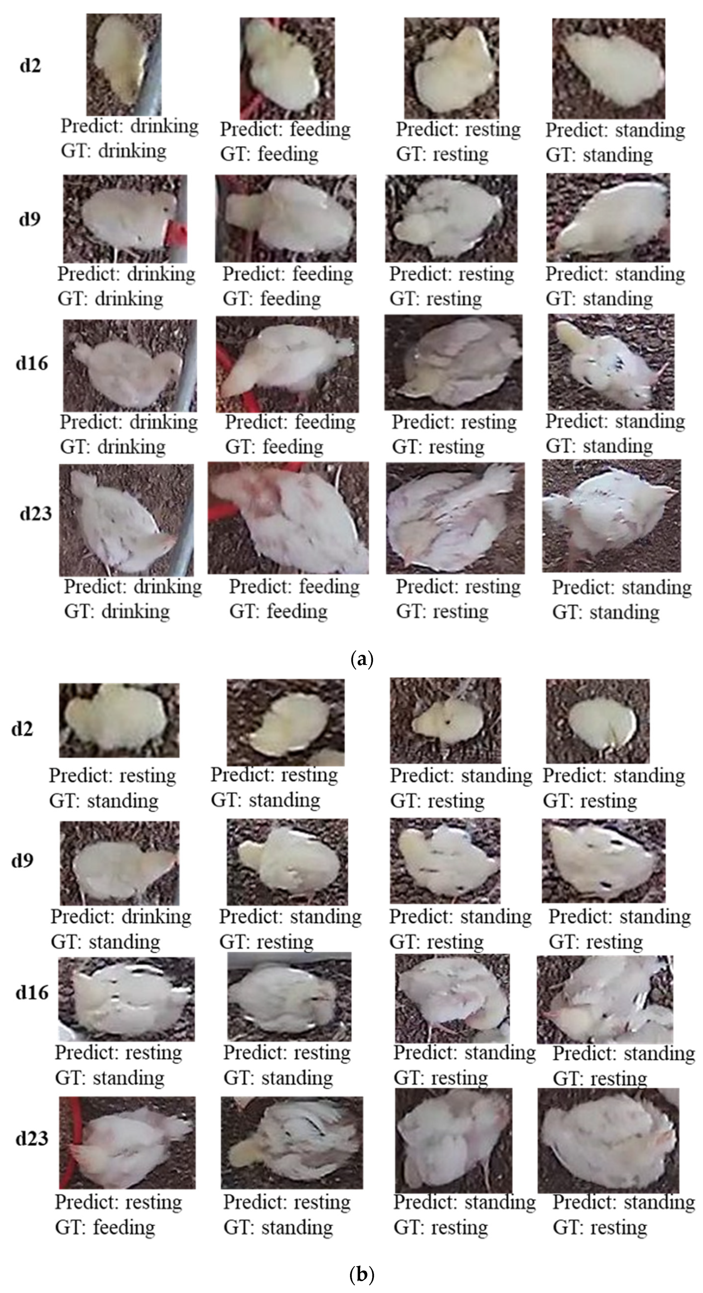 Animals 12 03390 g003 Animals 12 03390 g003