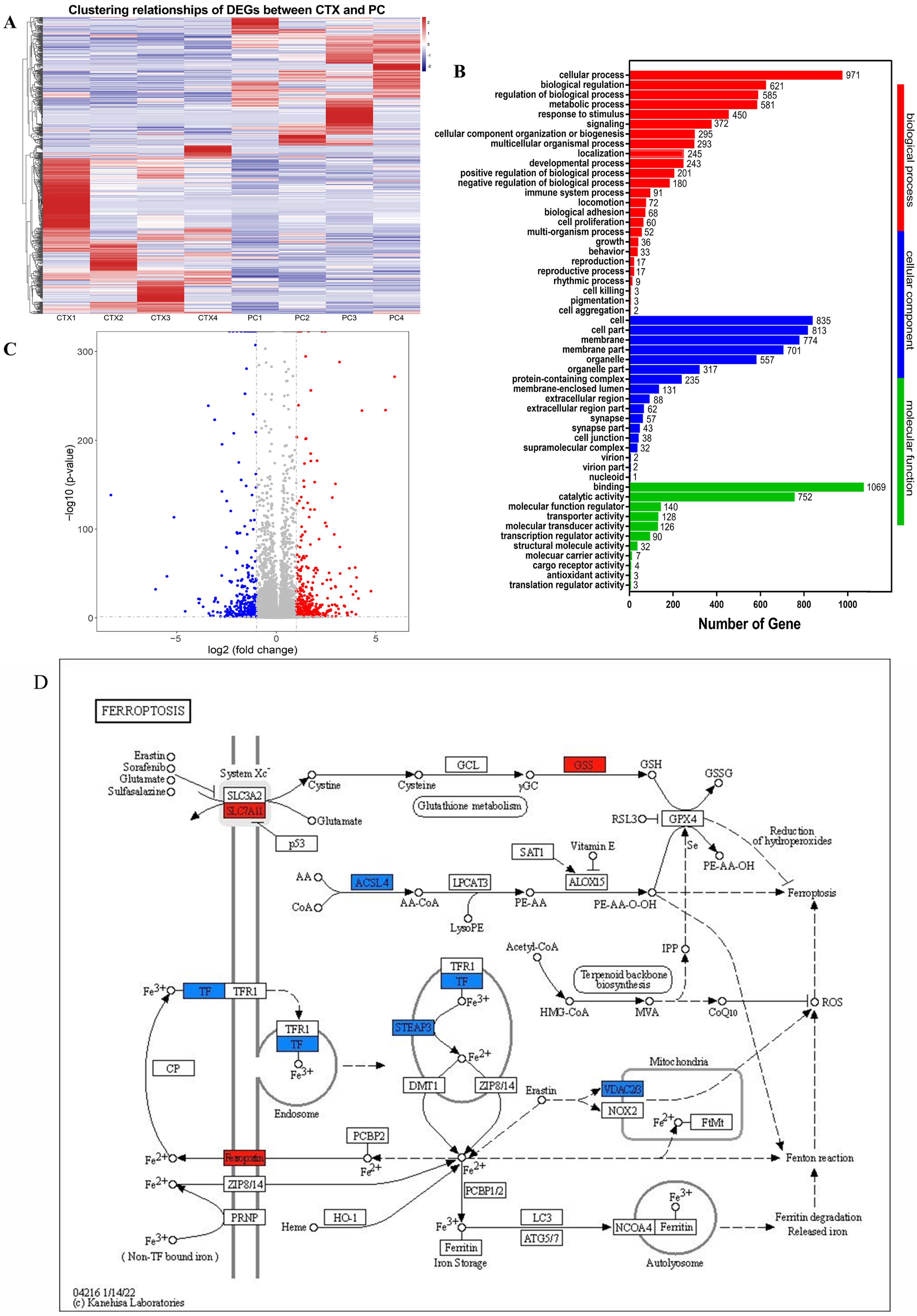 Animals 12 03394 g002