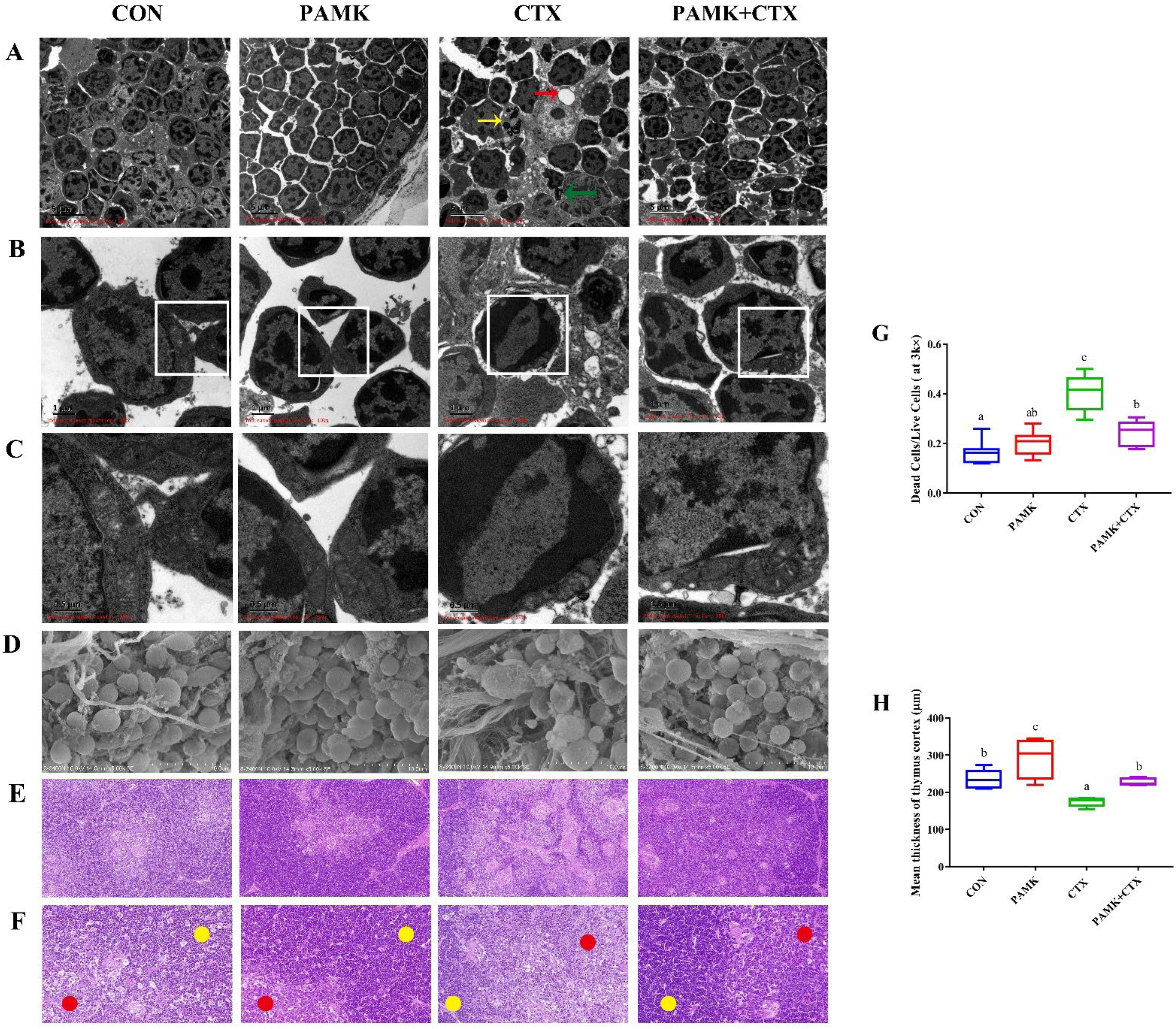 Animals 12 03394 g003