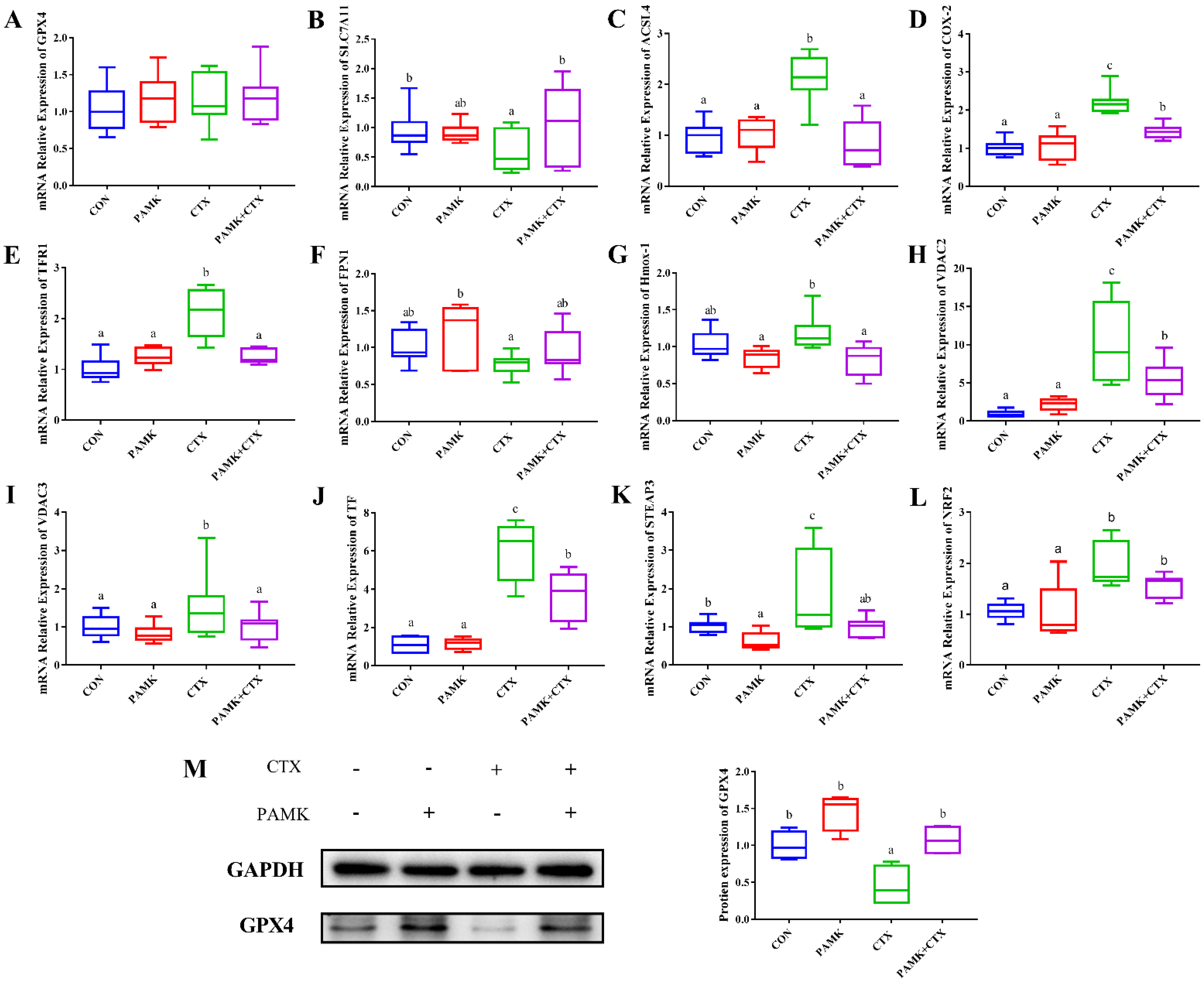 Animals 12 03394 g006