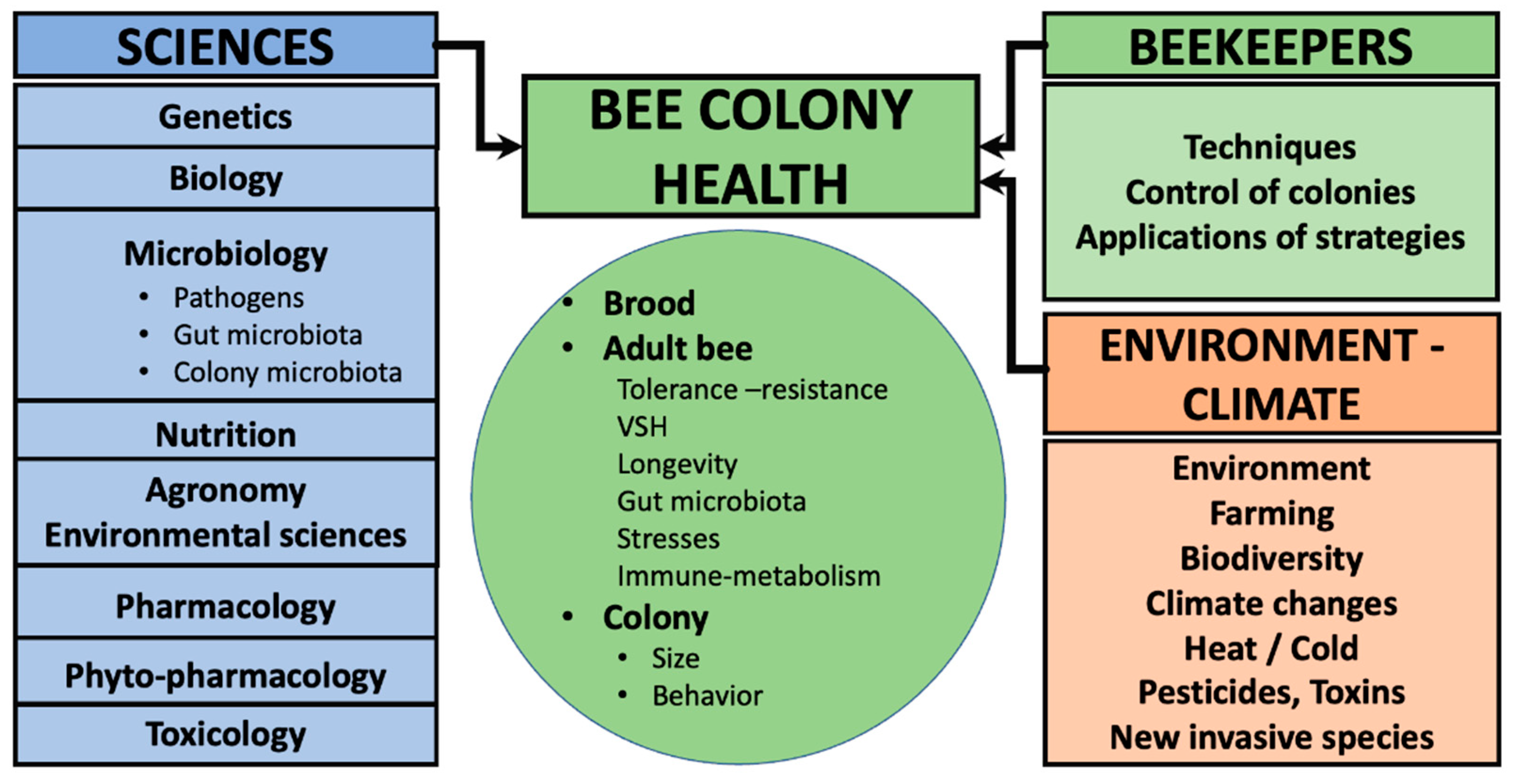 Animals 12 03396 g001