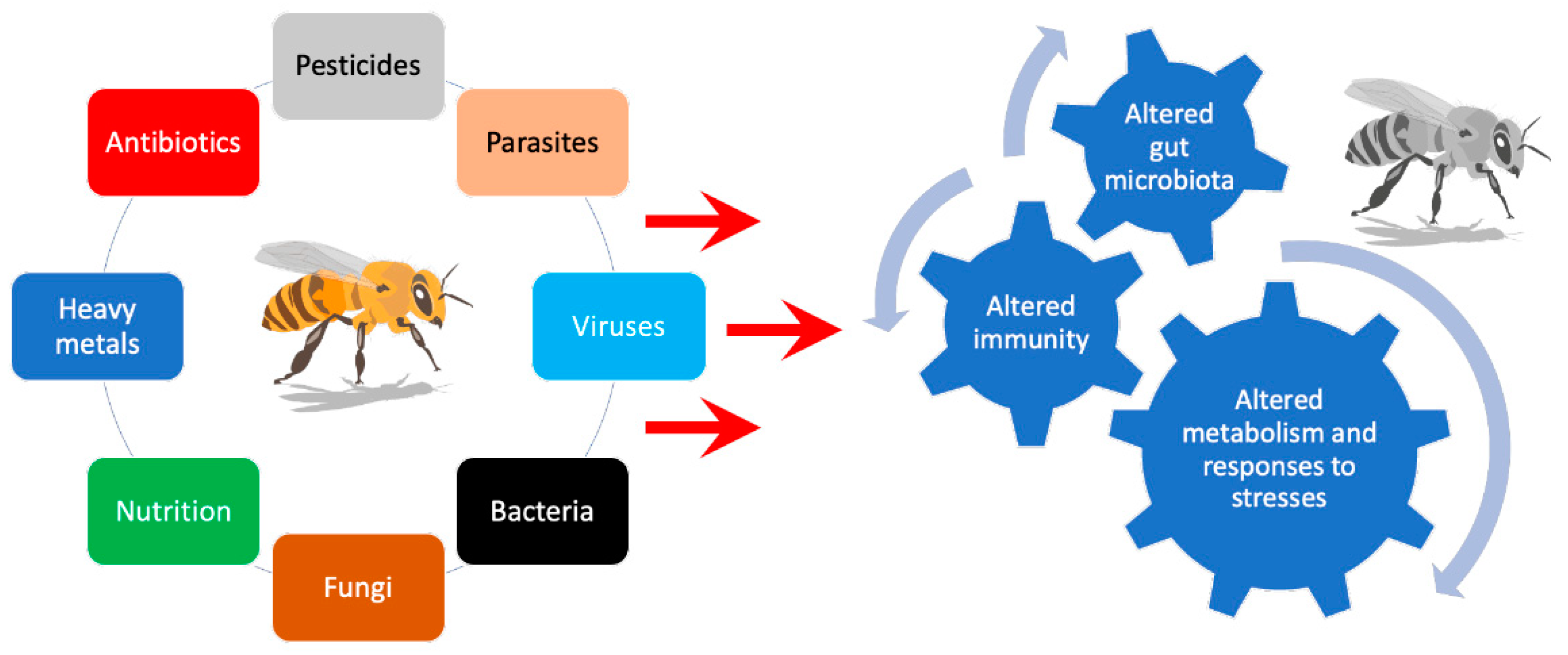 Animals 12 03396 g002