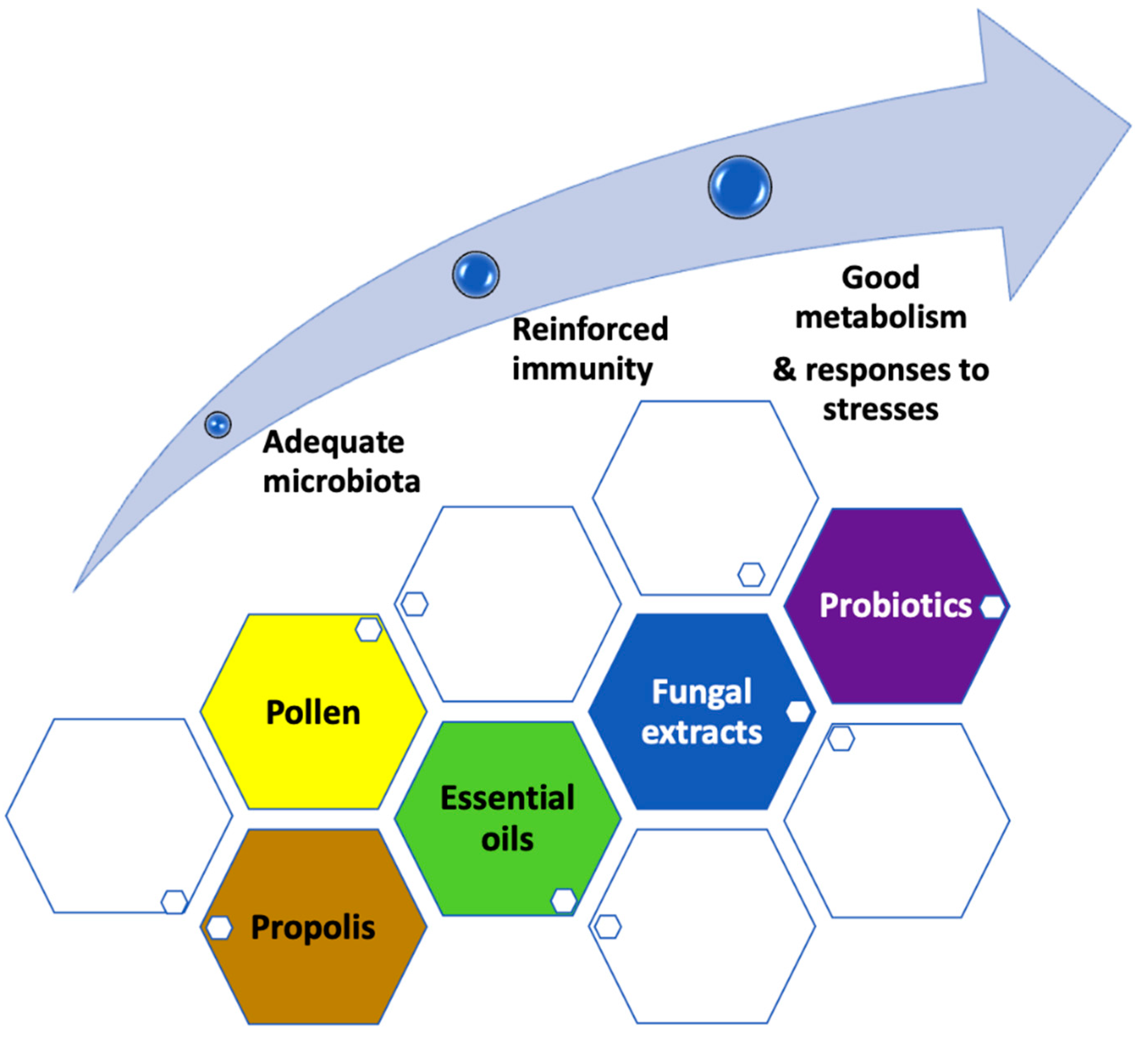 Animals 12 03396 g003