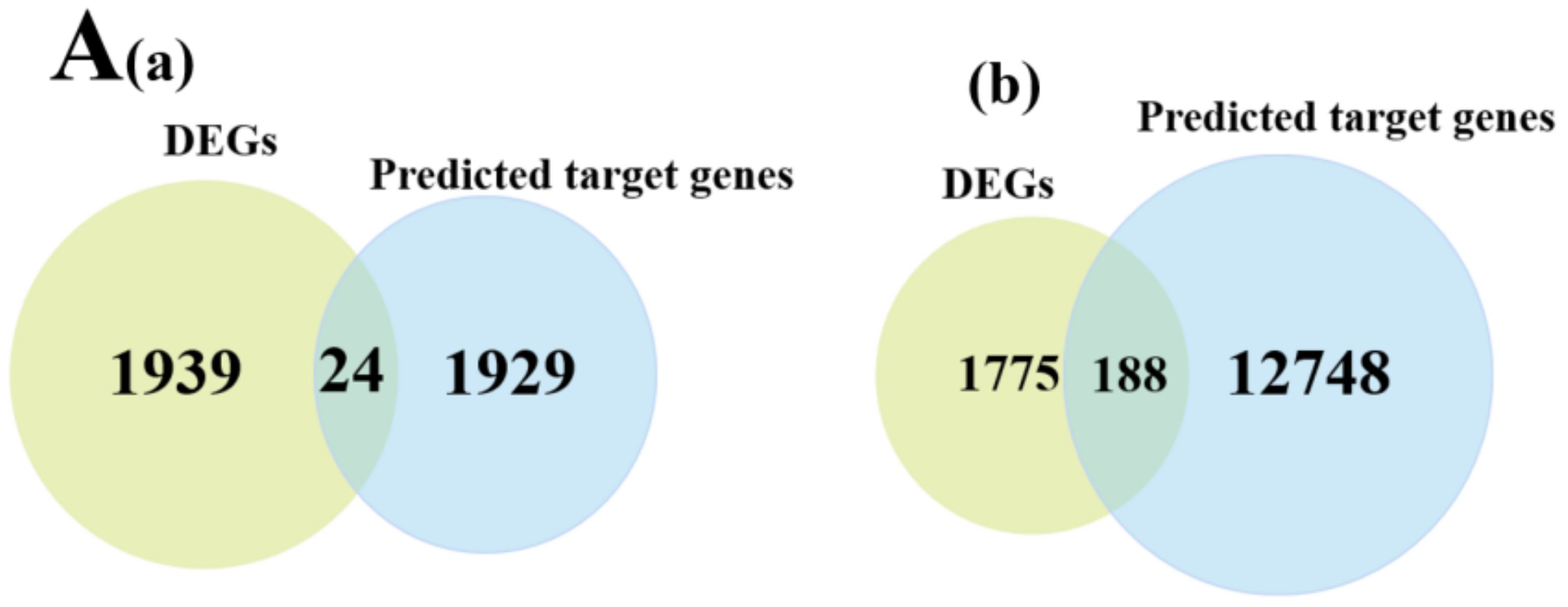 Animals 12 03397 g007a Animals 12 03397 g007a