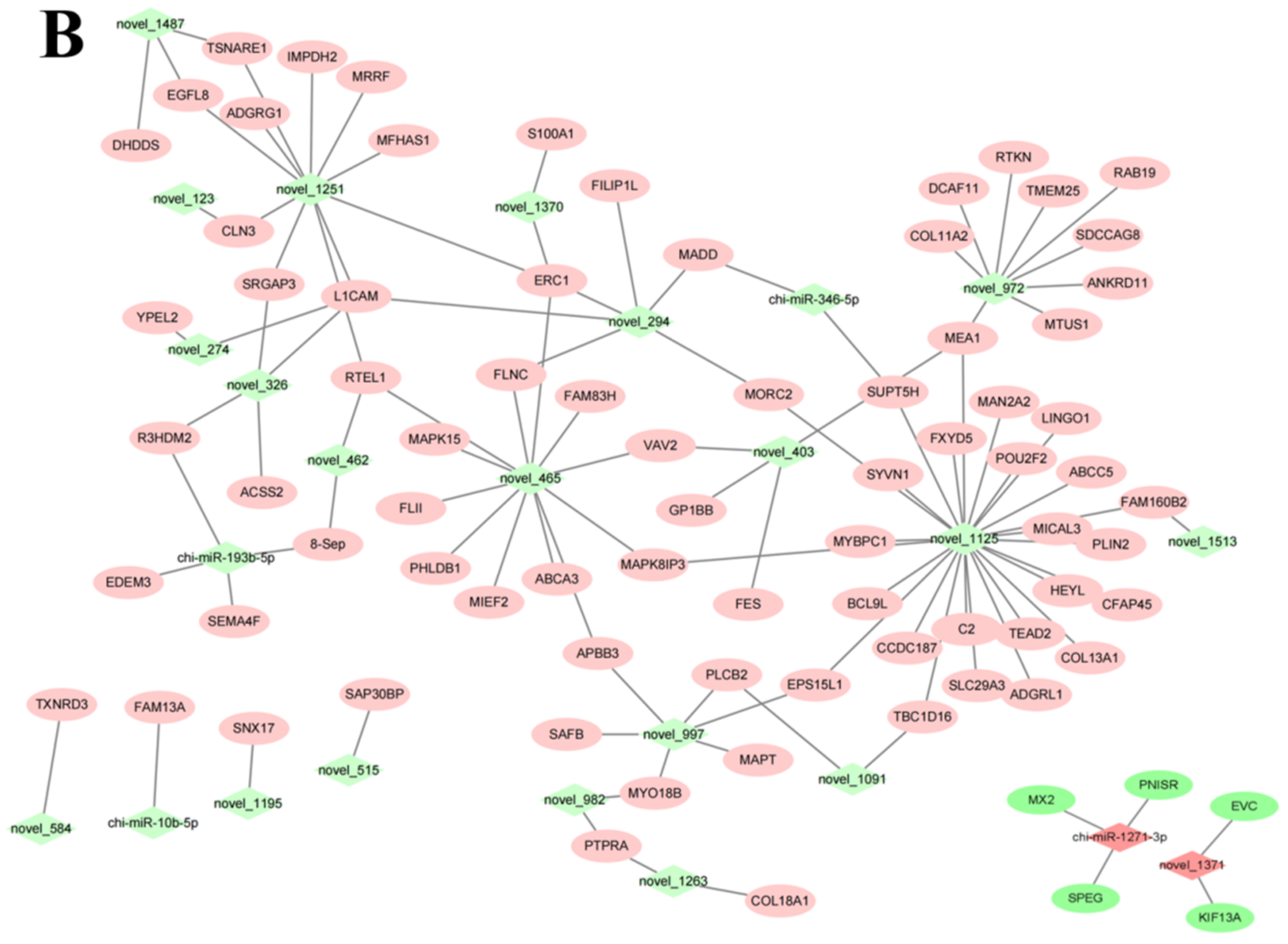 Animals 12 03397 g007b Animals 12 03397 g007b