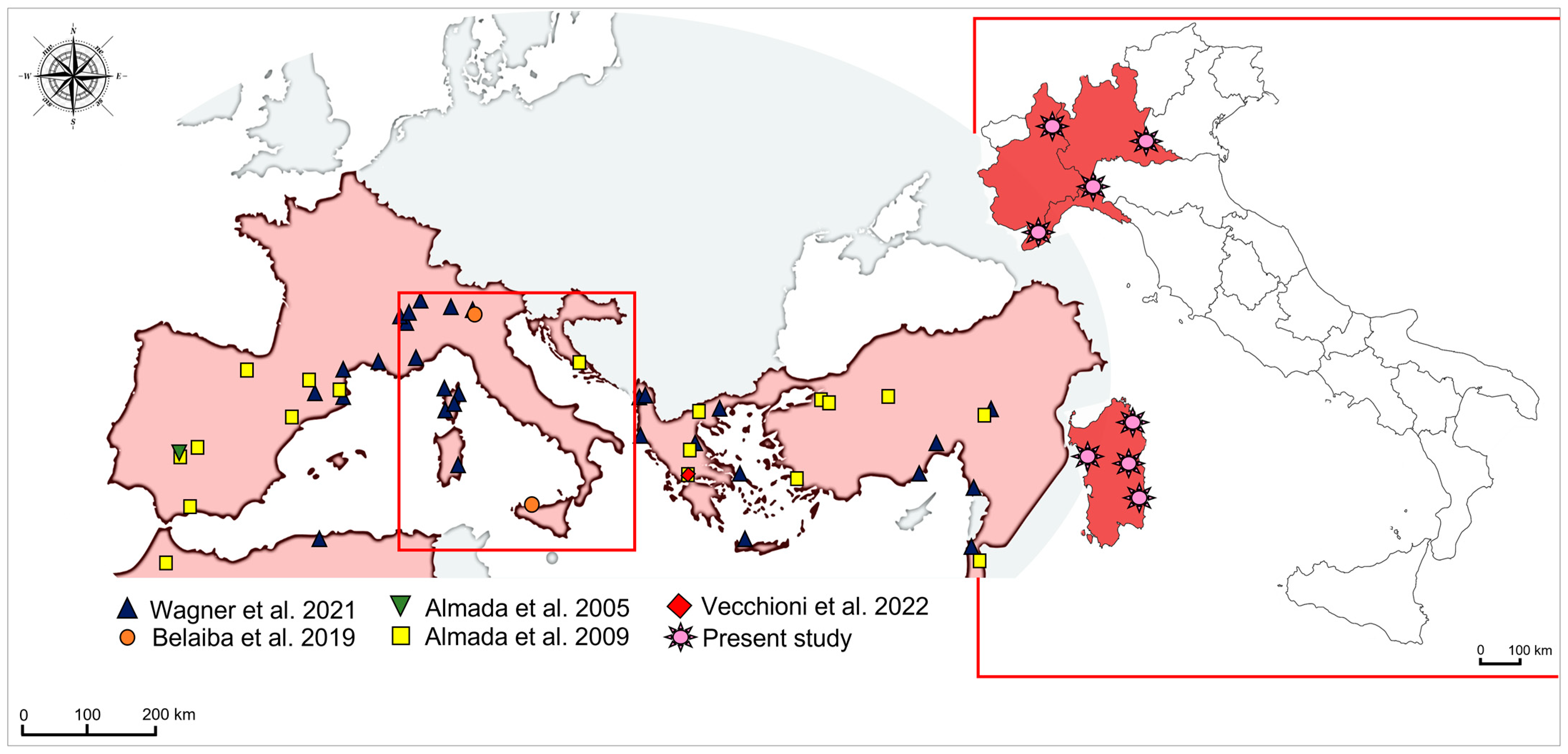 Animals 12 03403 g001
