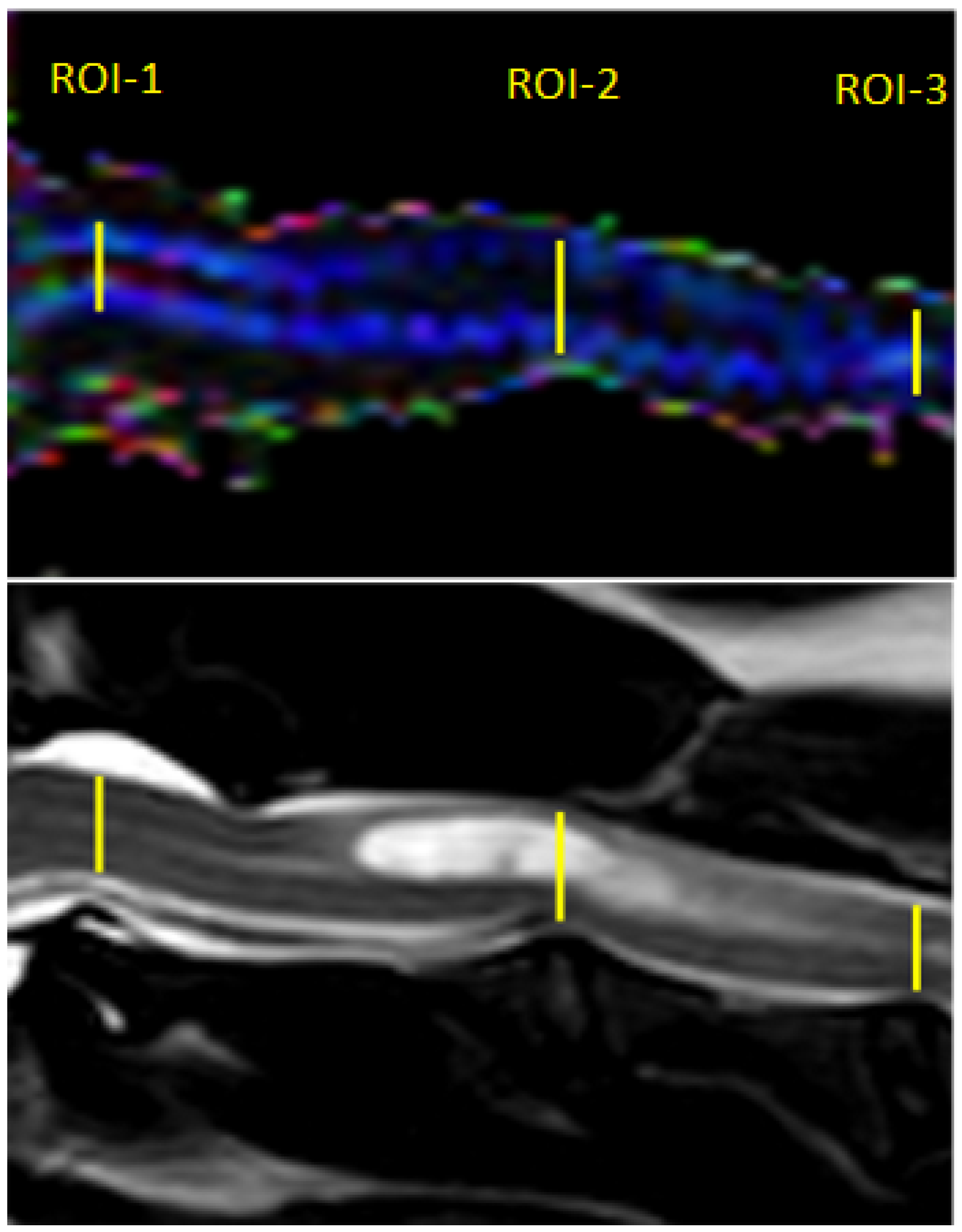 Animals 12 03405 g002