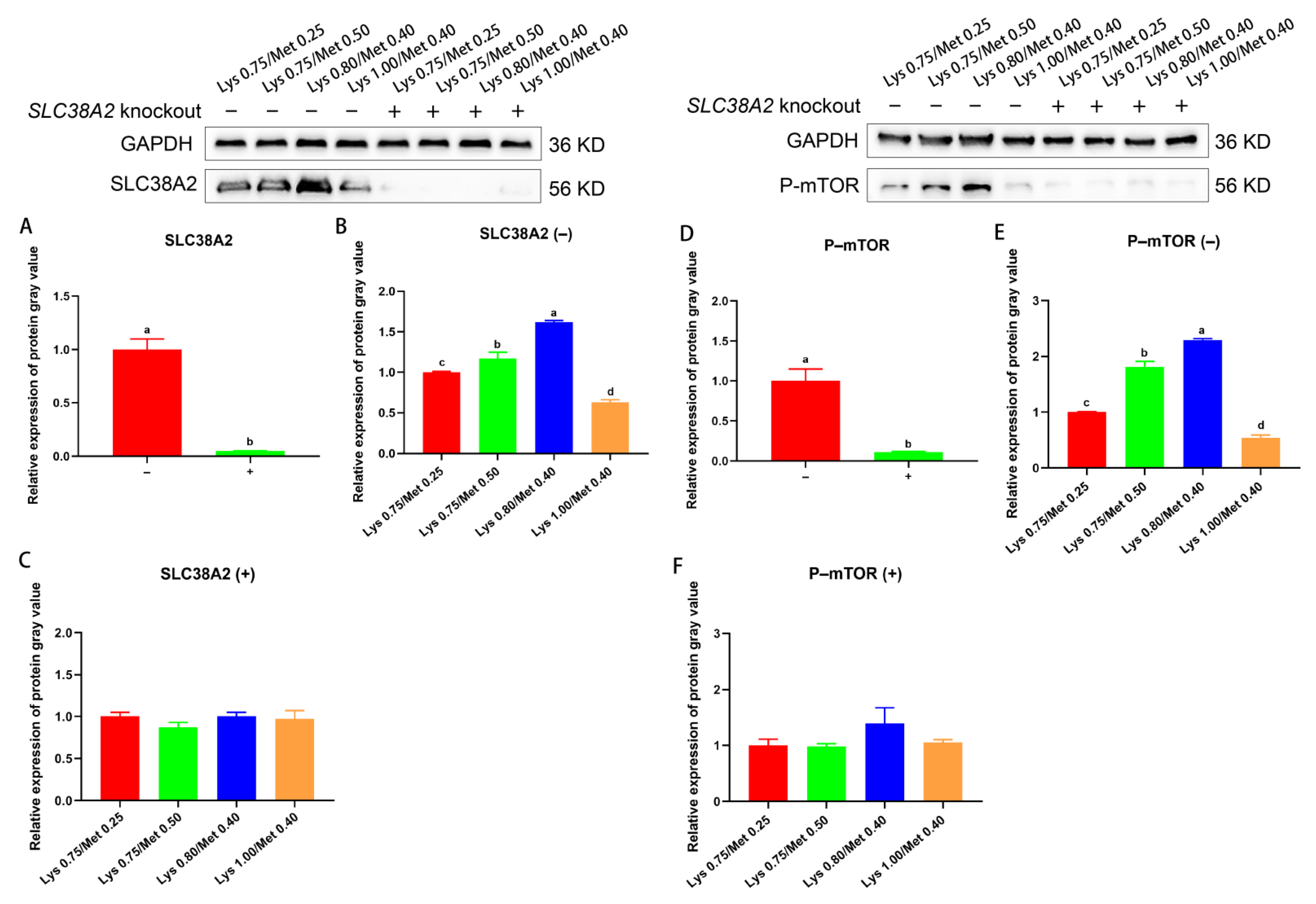 Animals 12 03406 g005 Animals 12 03406 g005