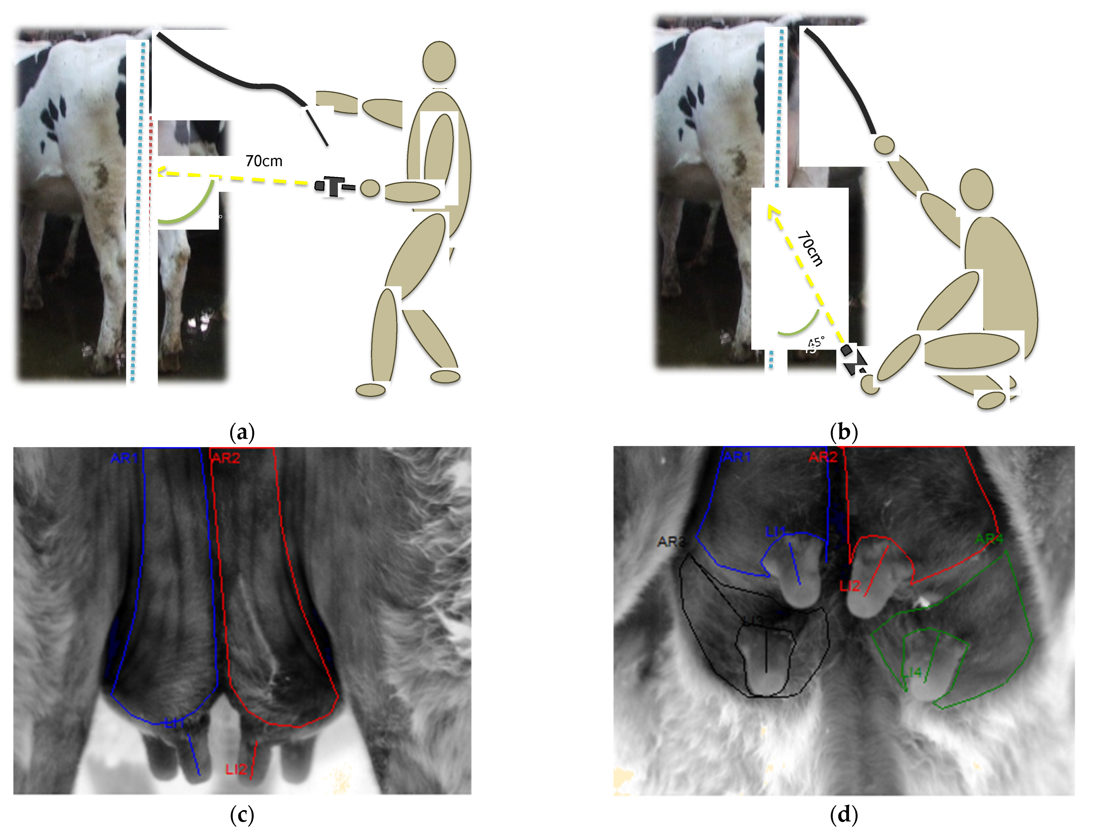 Animals 12 03410 g001