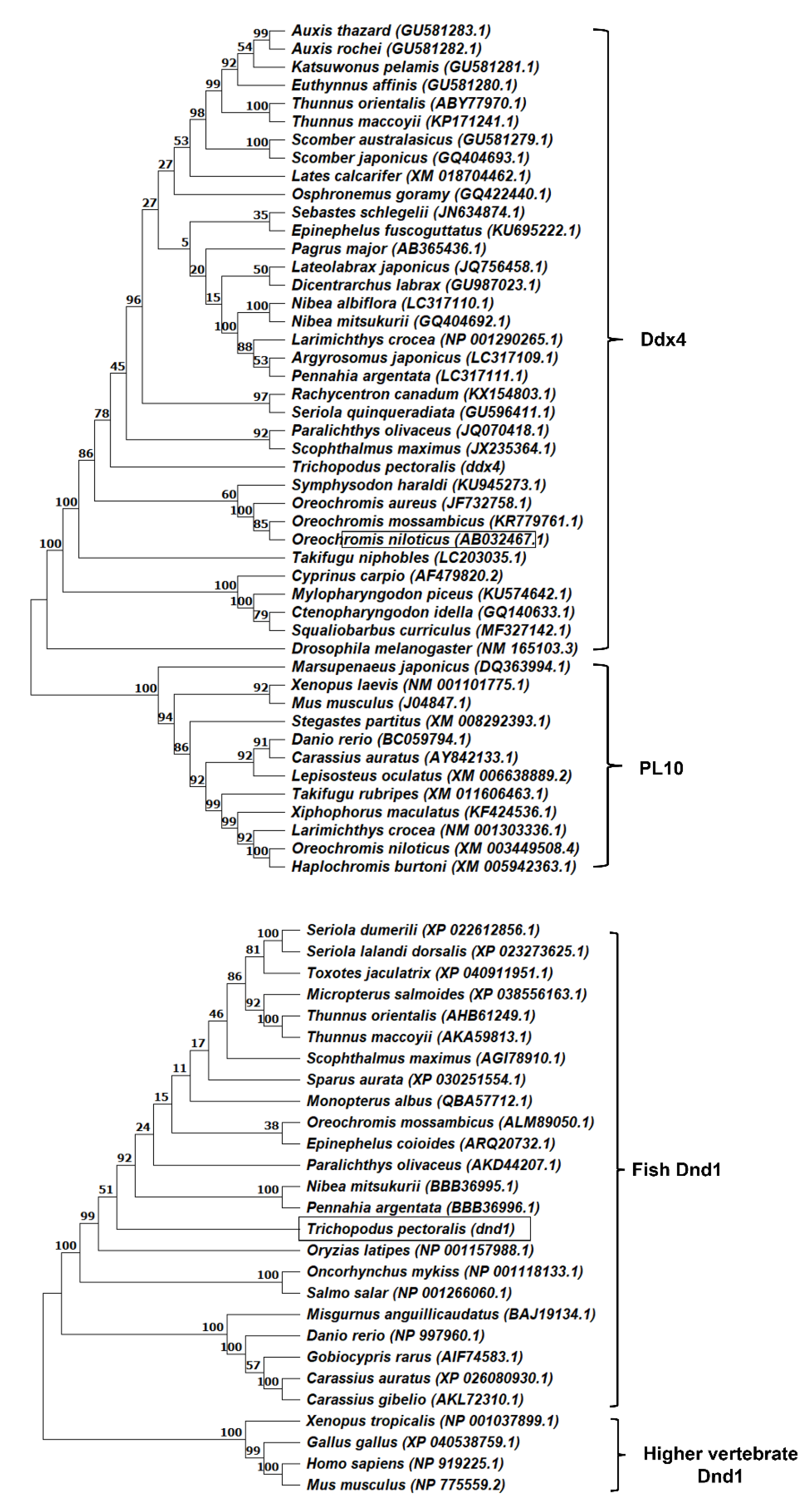 Animals 12 03415 g005