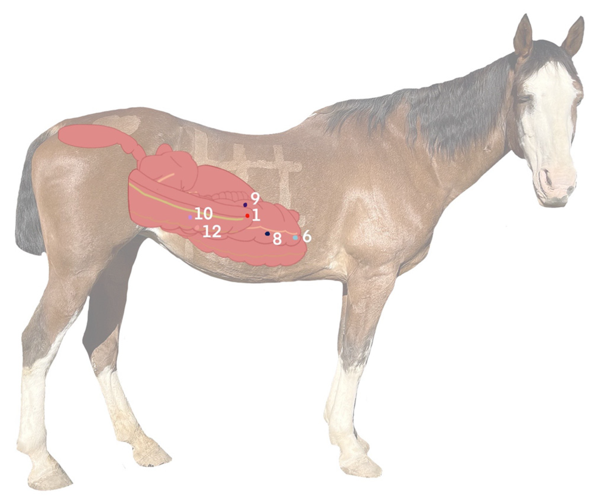 Animals 12 03421 g007