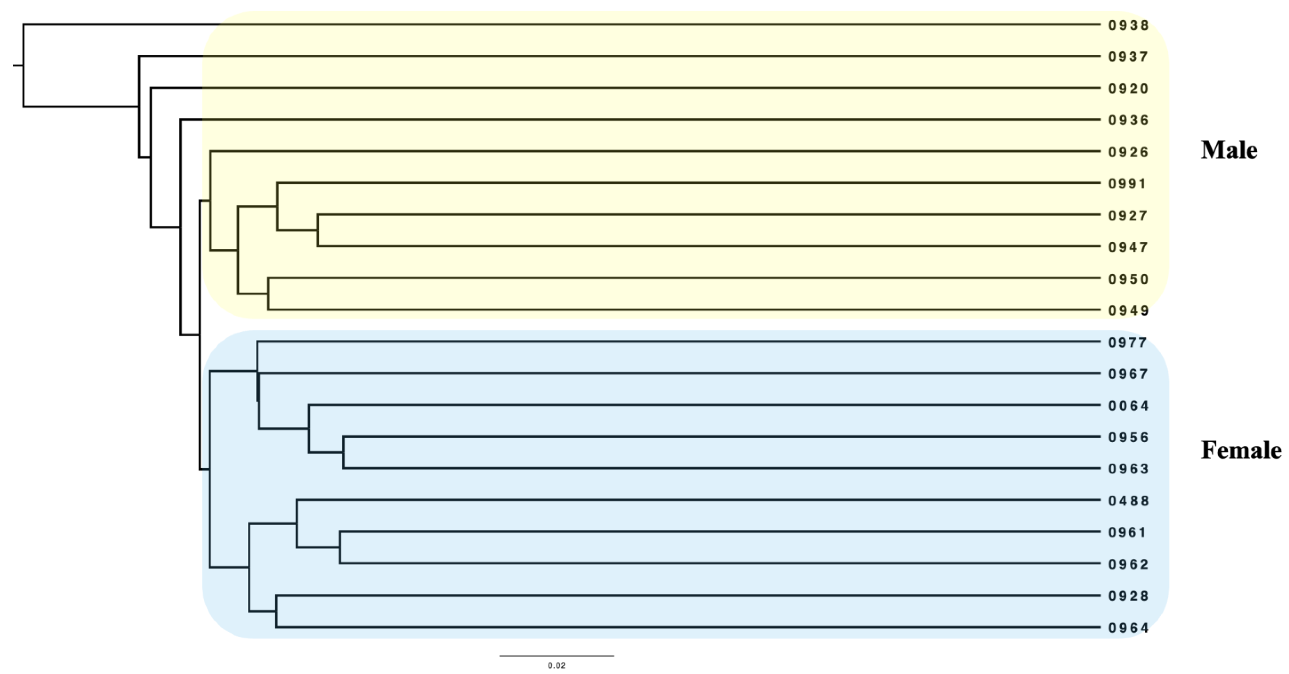 Animals 12 03430 g003 Animals 12 03430 g003