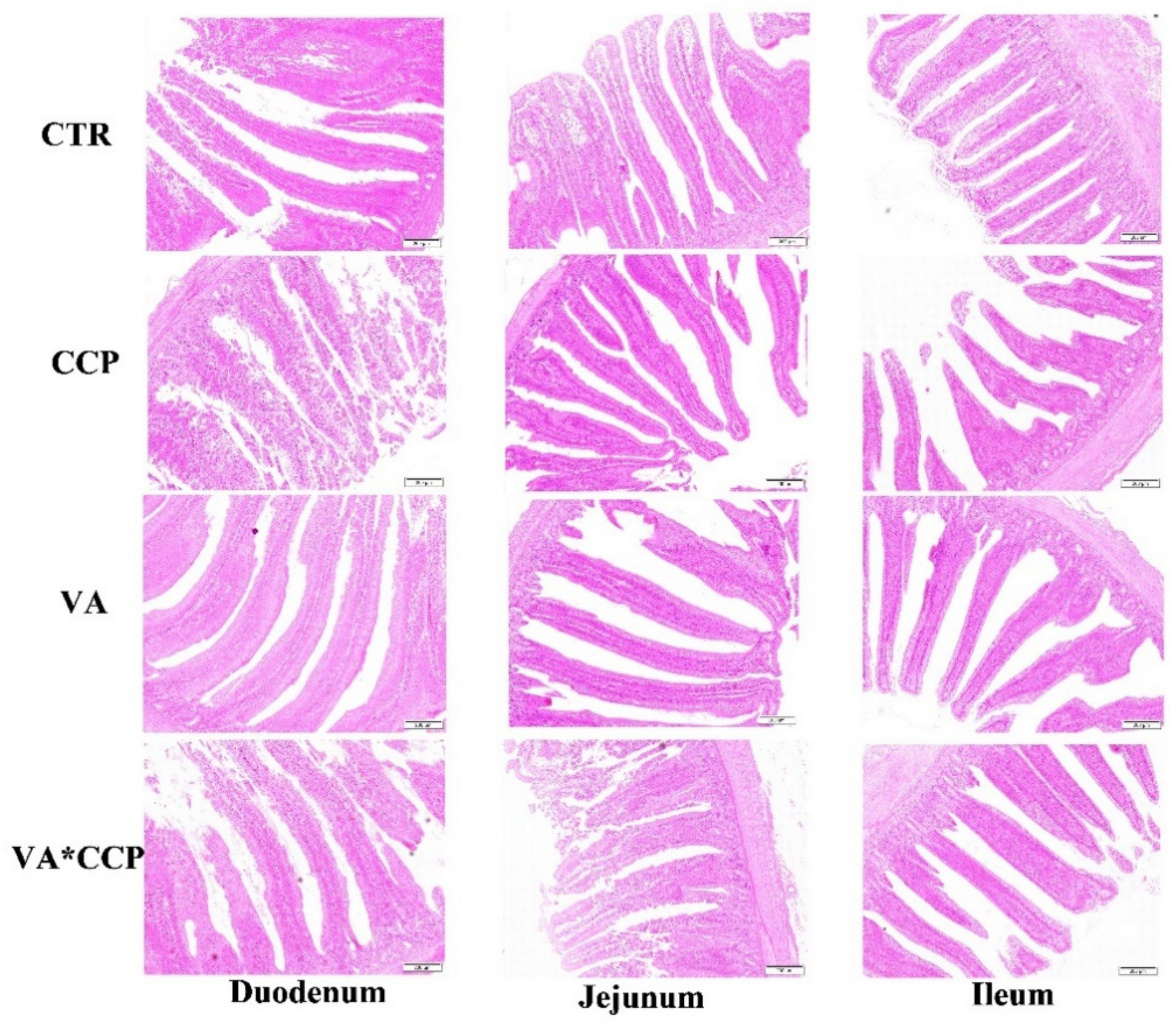 Animals 12 03431 g002 Animals 12 03431 g002