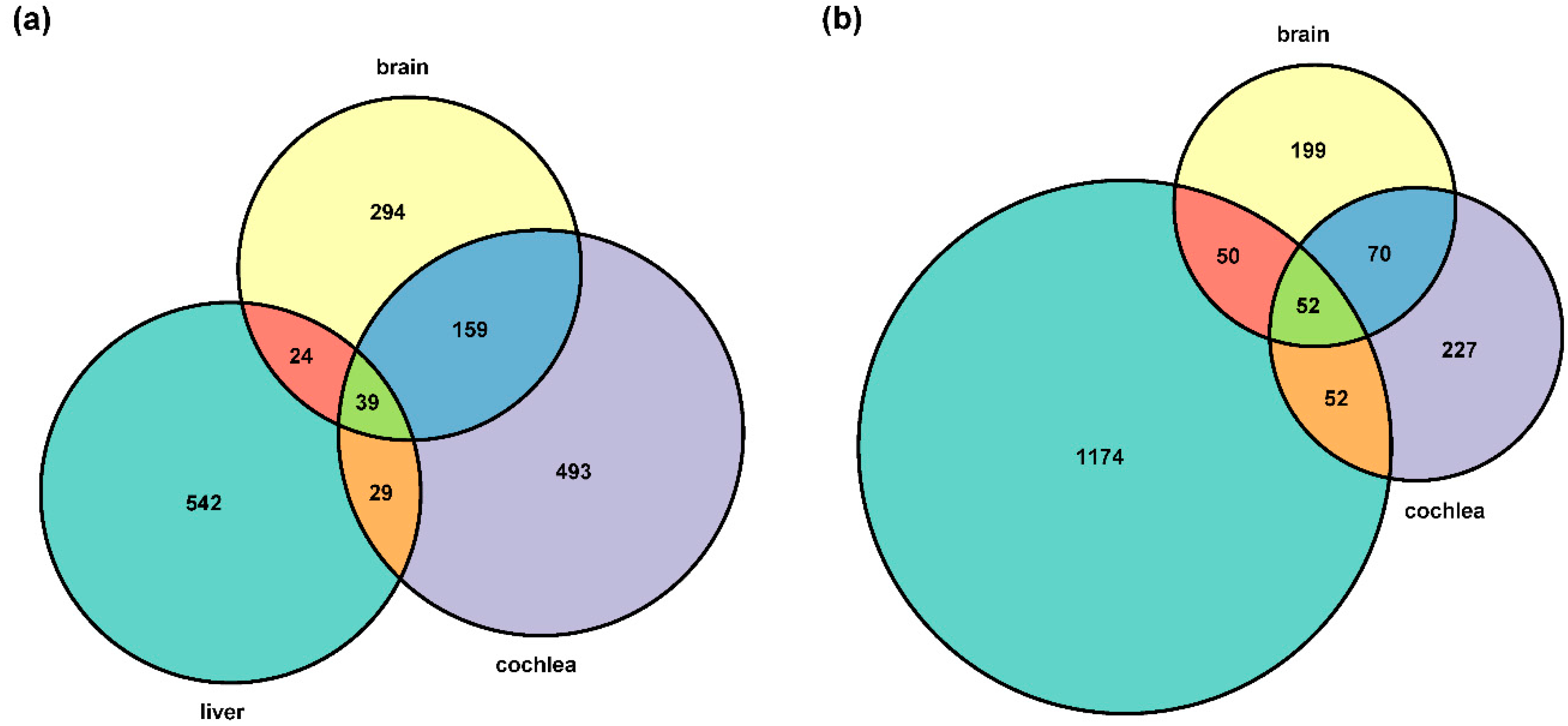 Animals 12 03432 g001