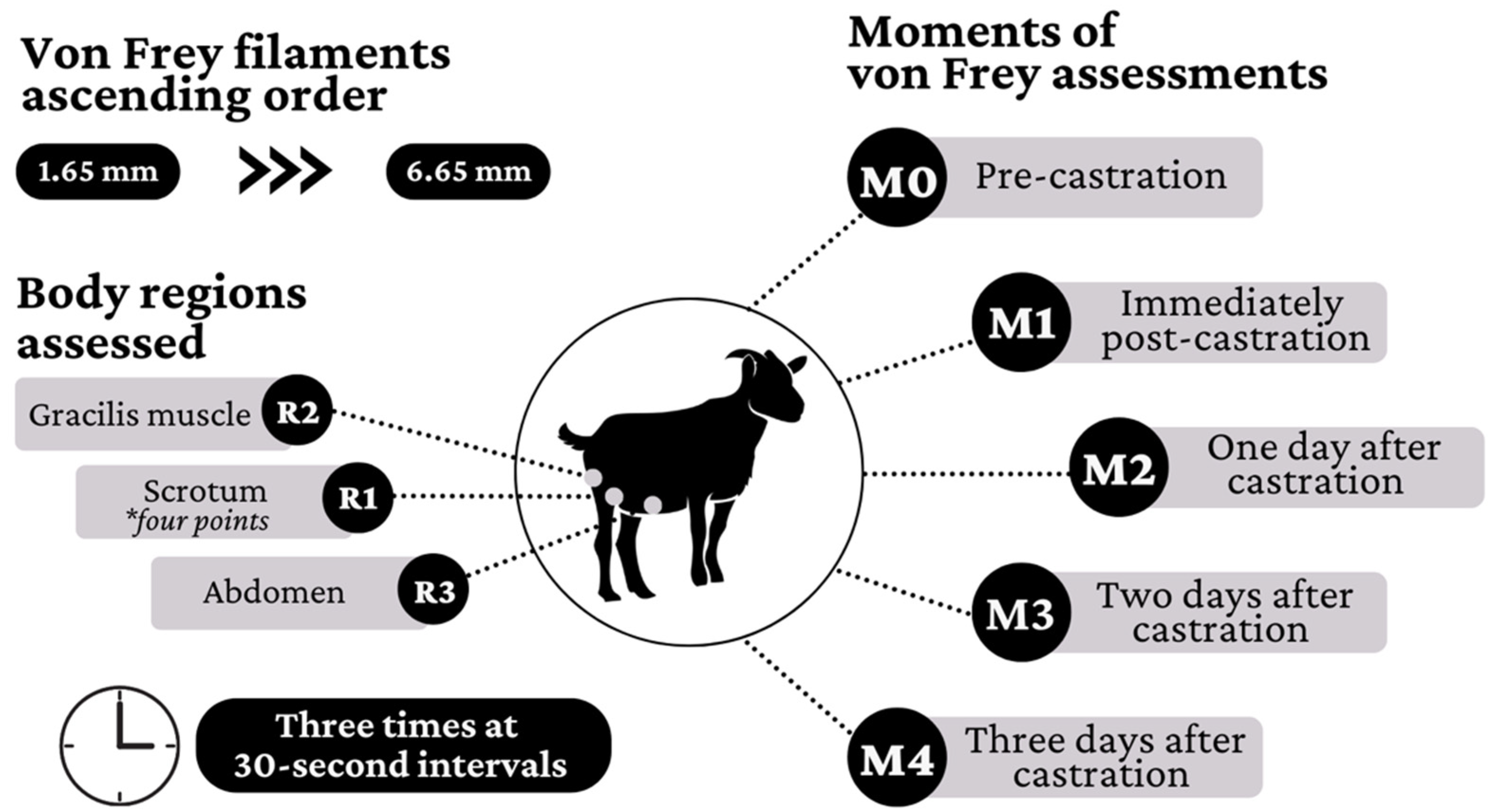 Animals 12 03437 g001 Animals 12 03437 g001