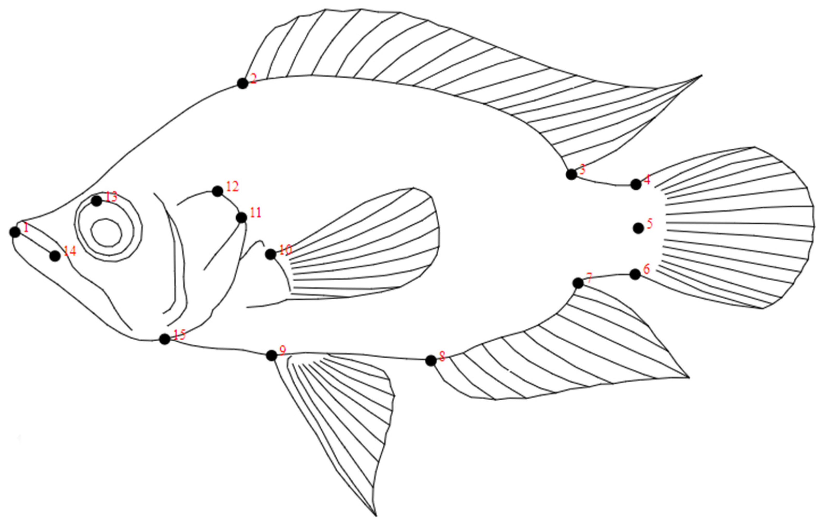 Animals 12 03438 g002 Animals 12 03438 g002