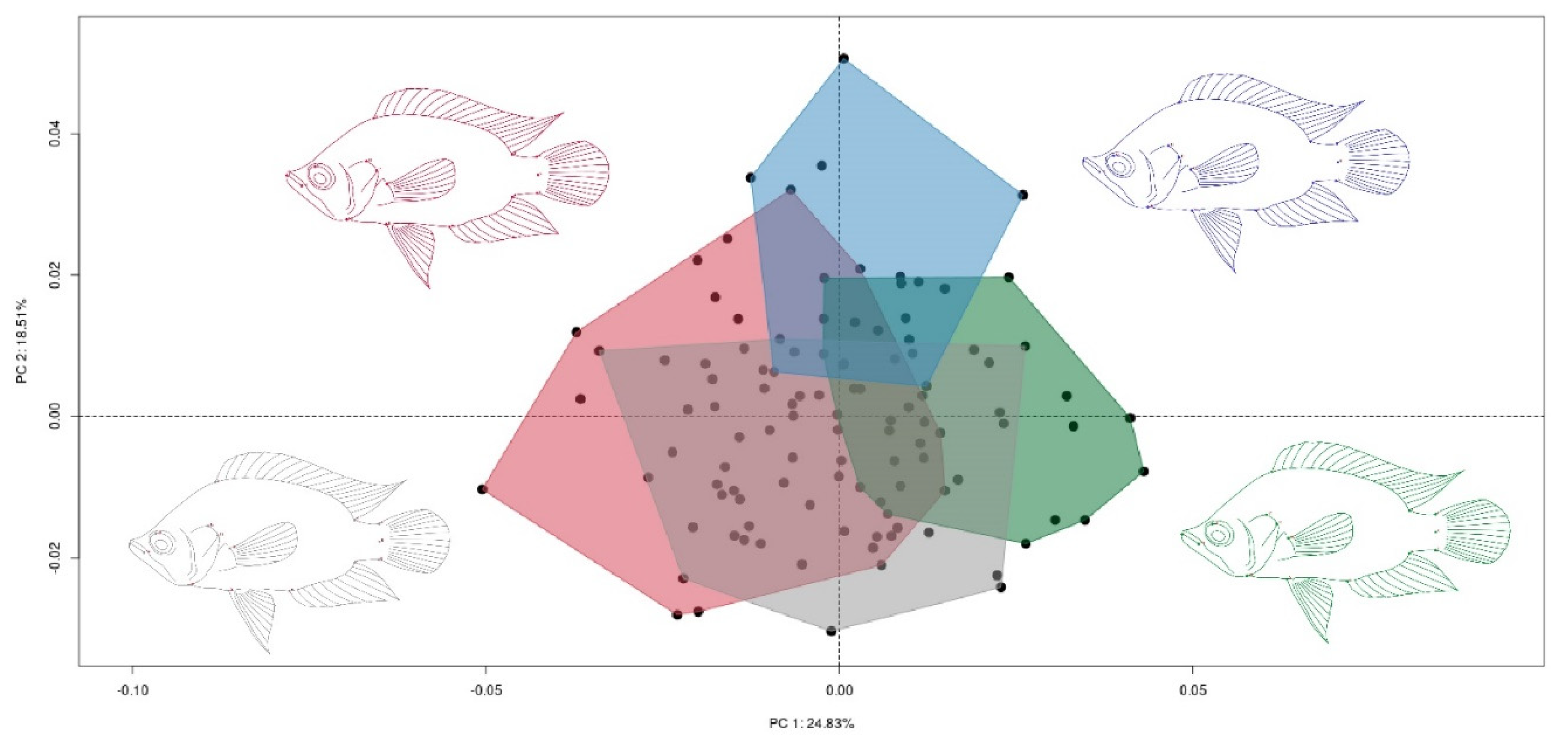 Animals 12 03438 g003 Animals 12 03438 g003