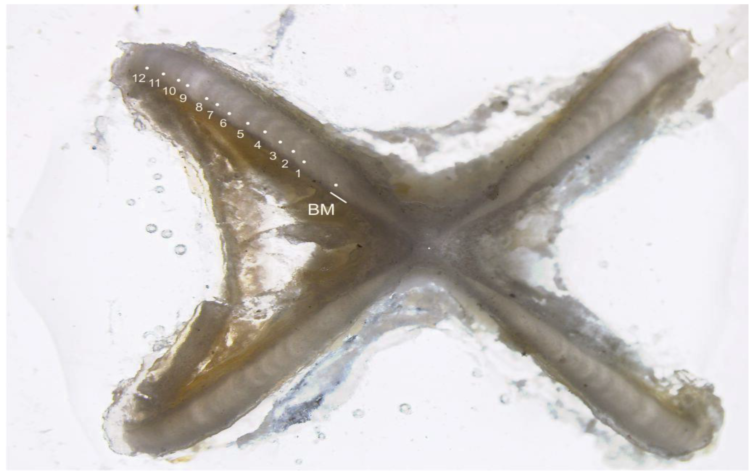 Animals 12 03443 g002 Animals 12 03443 g002