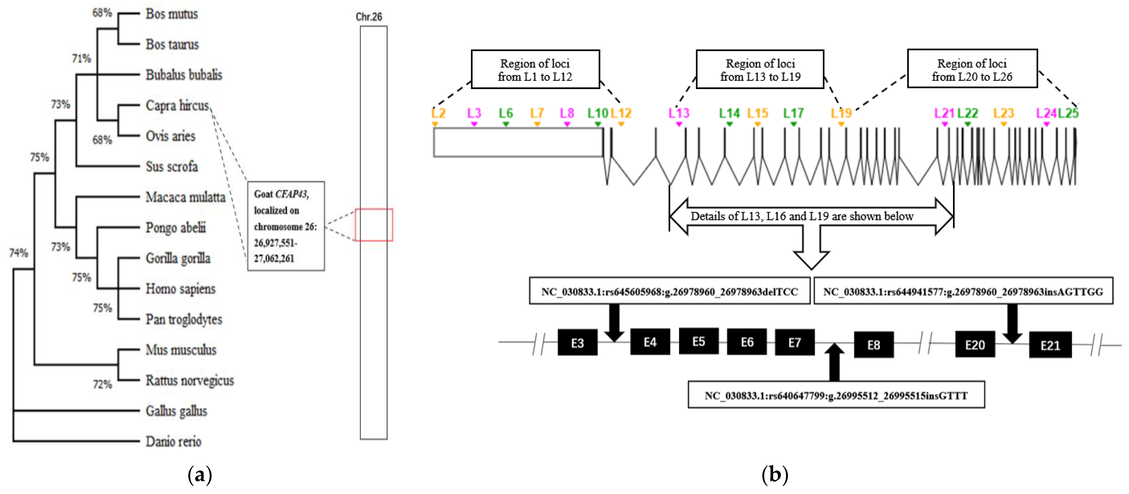 Animals 12 03447 g001 Animals 12 03447 g001