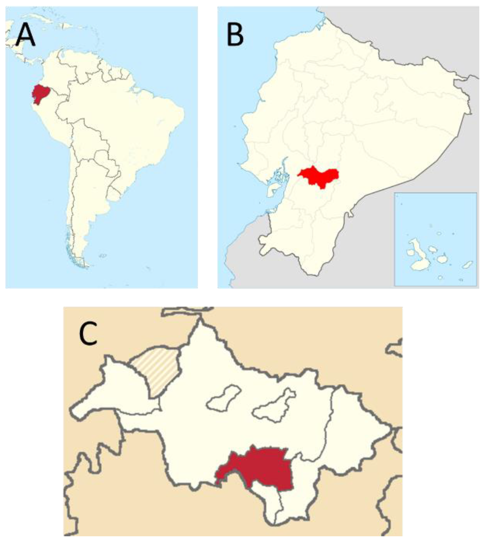 Animals 12 03449 g001 Animals 12 03449 g001