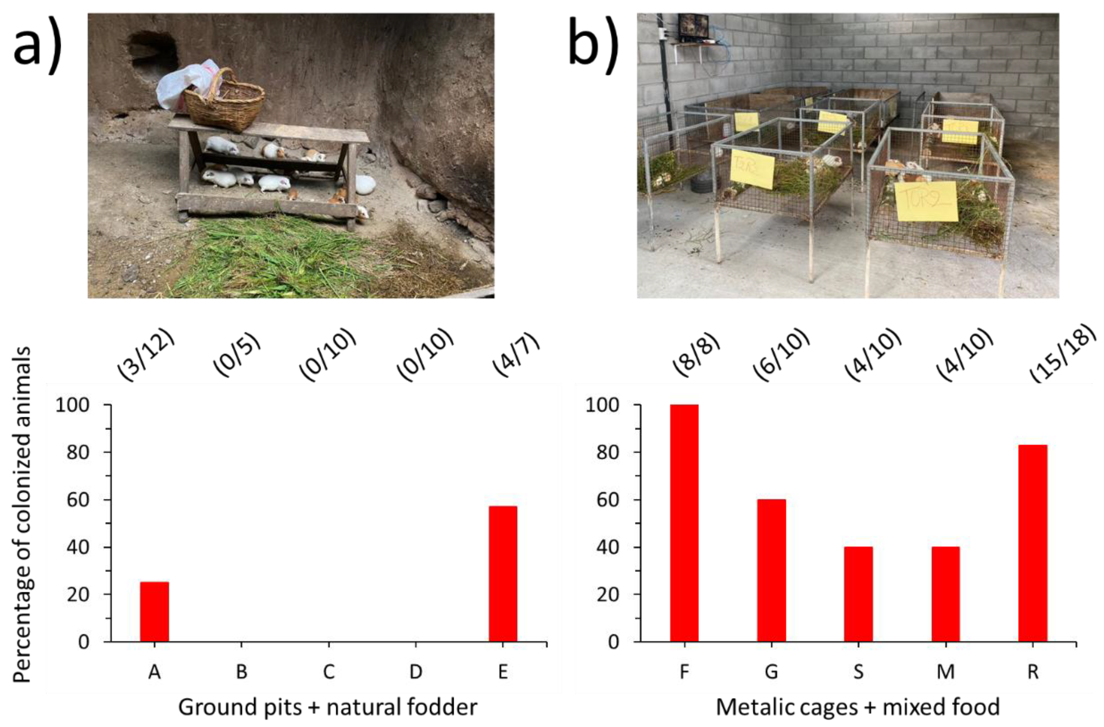Animals 12 03449 g003 Animals 12 03449 g003