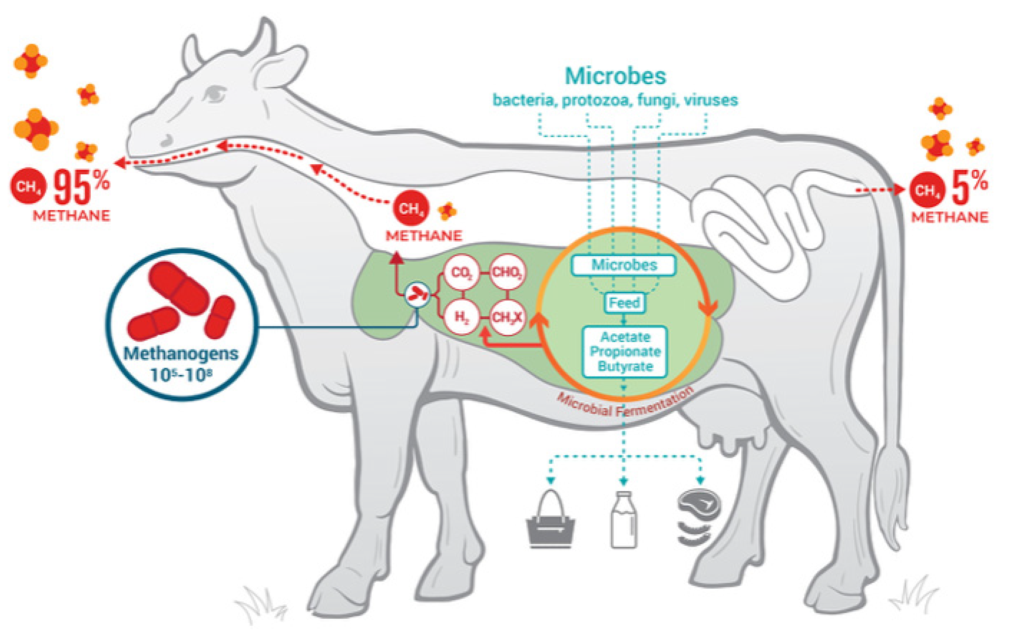 Animals 12 03452 g003