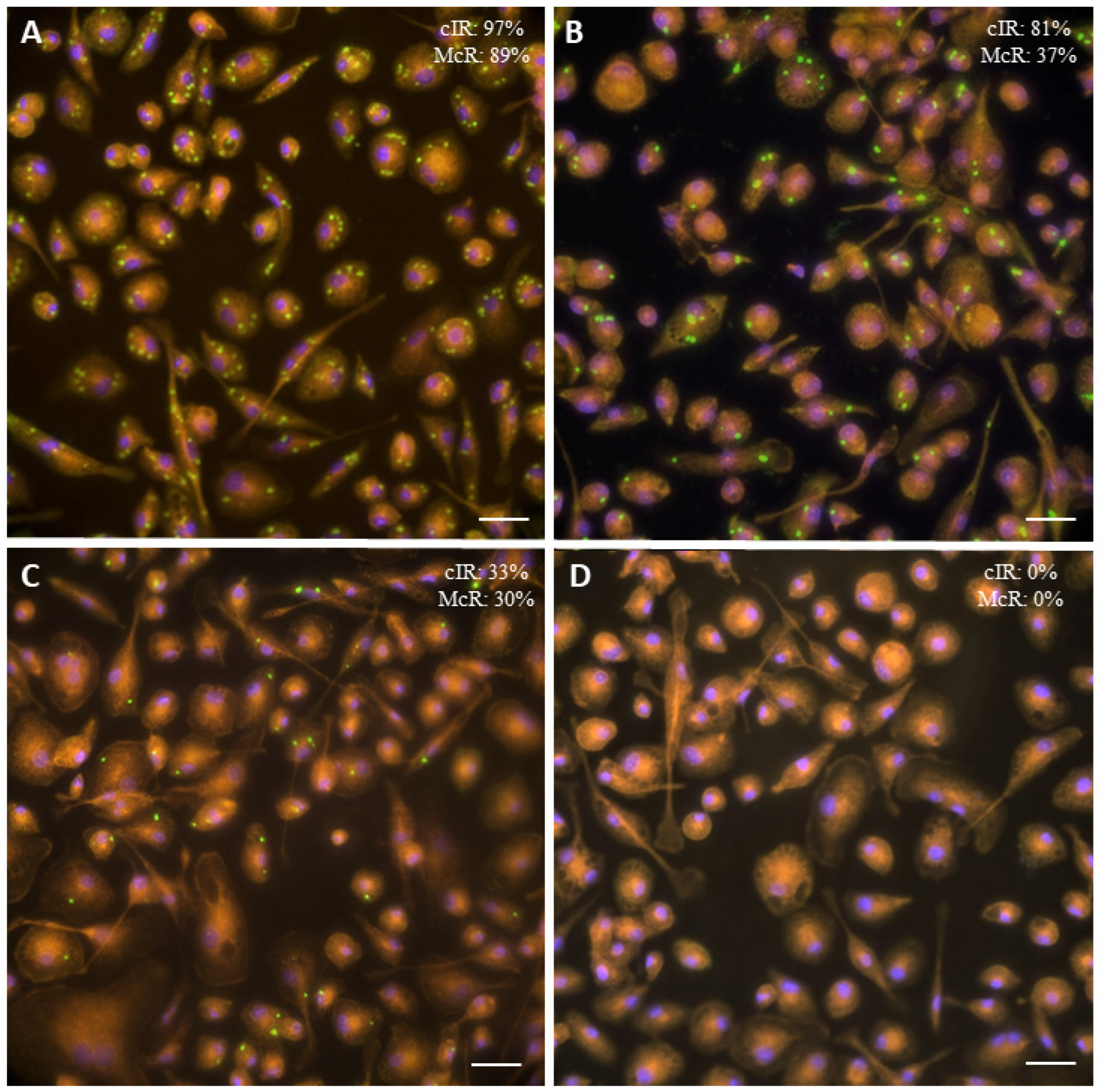 Animals 12 03453 g001