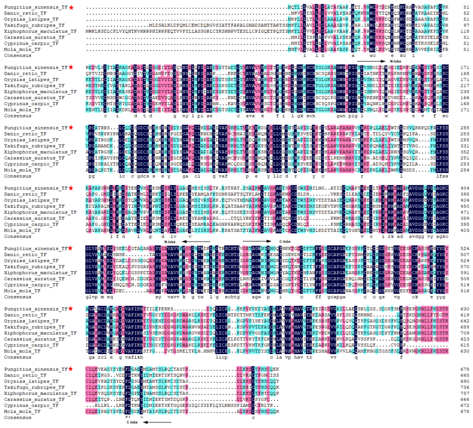 Animals 12 03458 g001 Animals 12 03458 g001