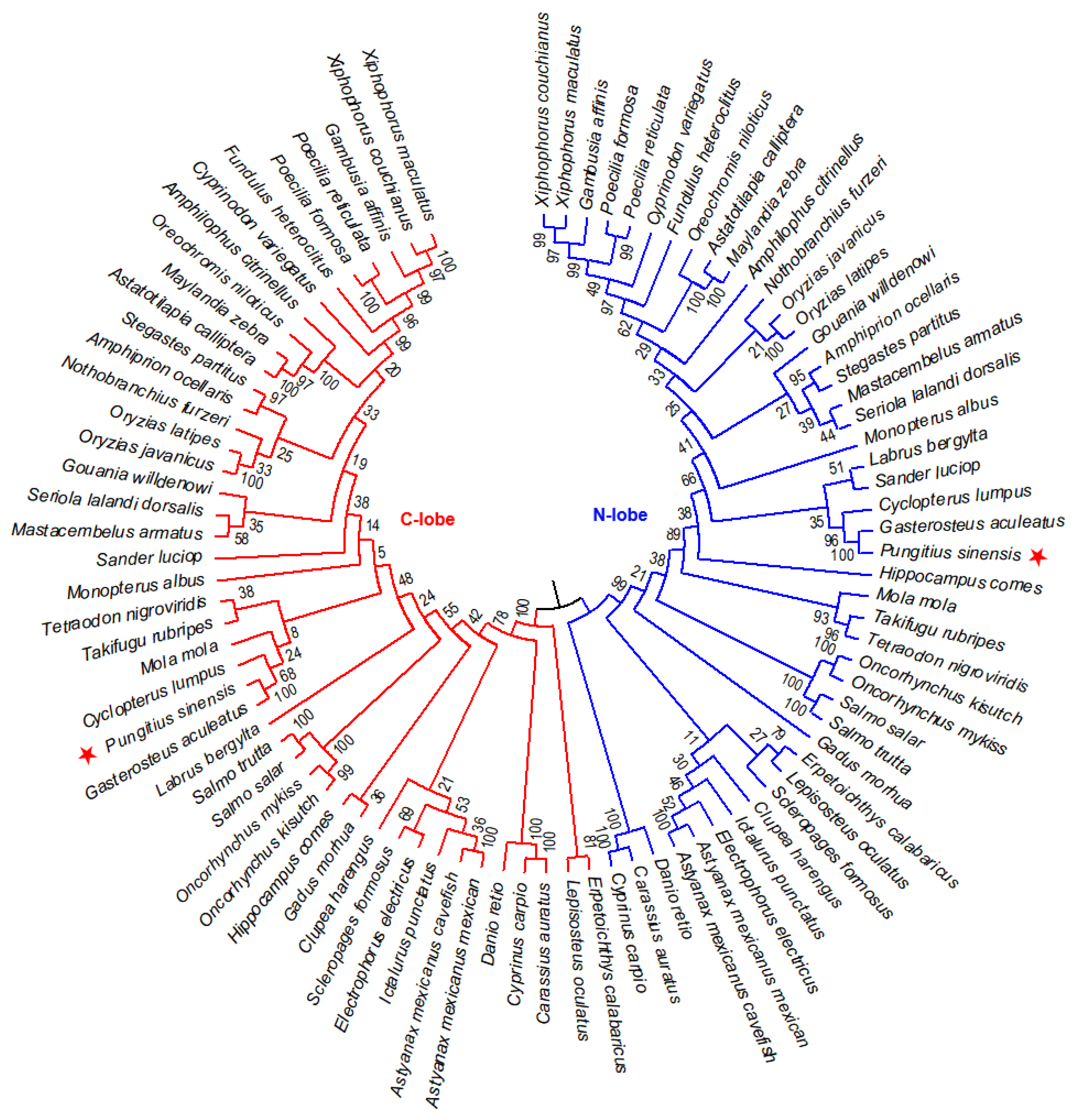 Animals 12 03458 g003 Animals 12 03458 g003