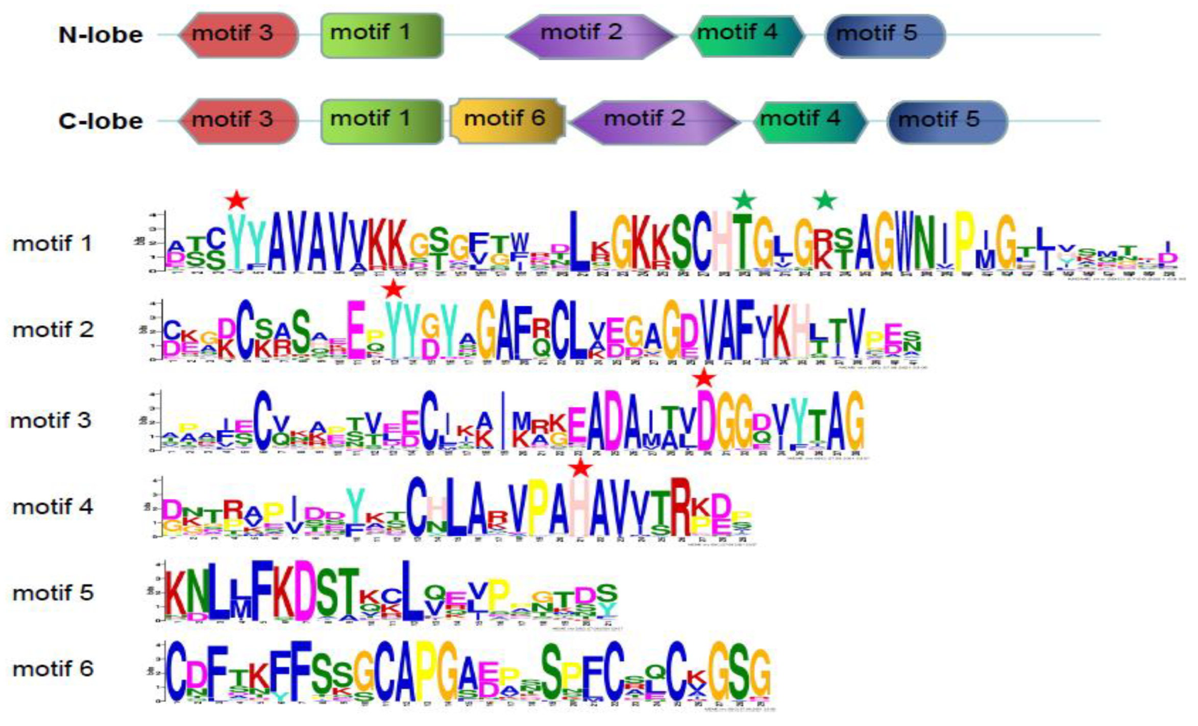 Animals 12 03458 g004 Animals 12 03458 g004