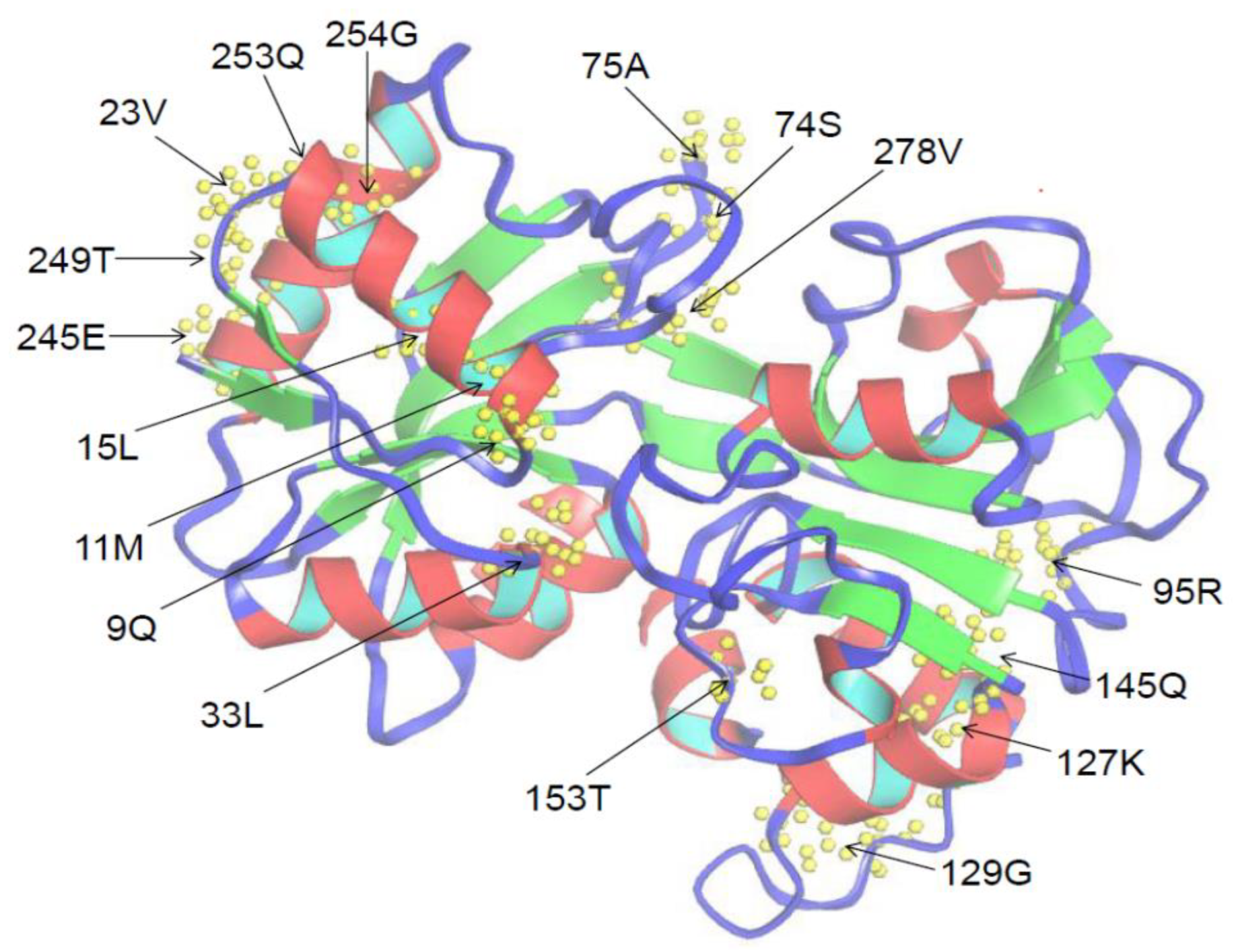 Animals 12 03458 g005 Animals 12 03458 g005