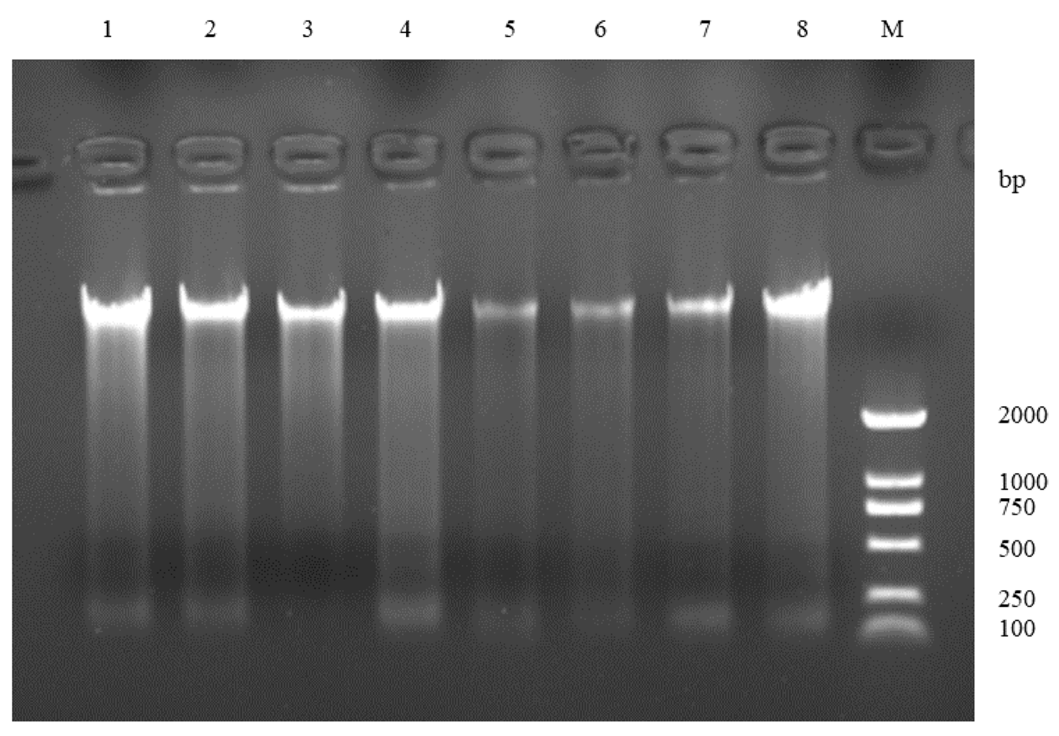 Animals 12 03459 g001