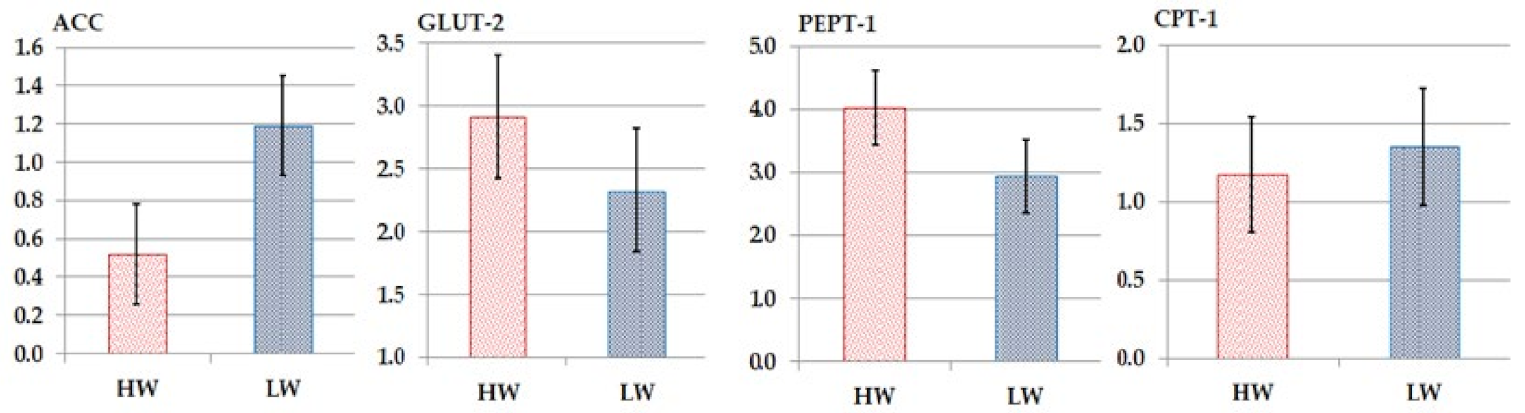 Animals 12 03474 g002 Animals 12 03474 g002