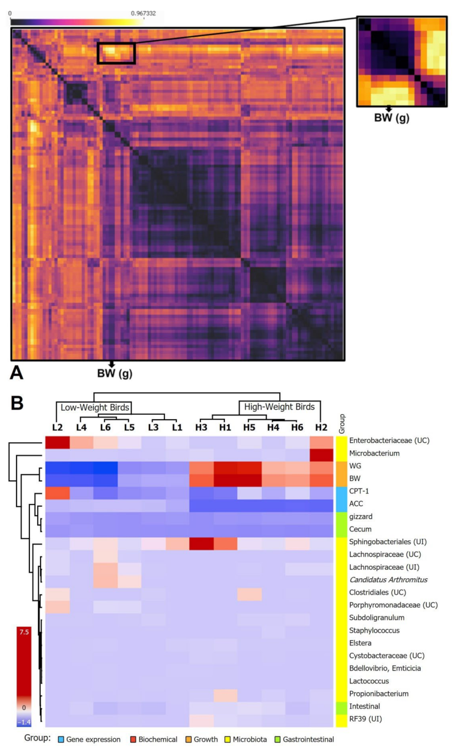Animals 12 03474 g006 Animals 12 03474 g006