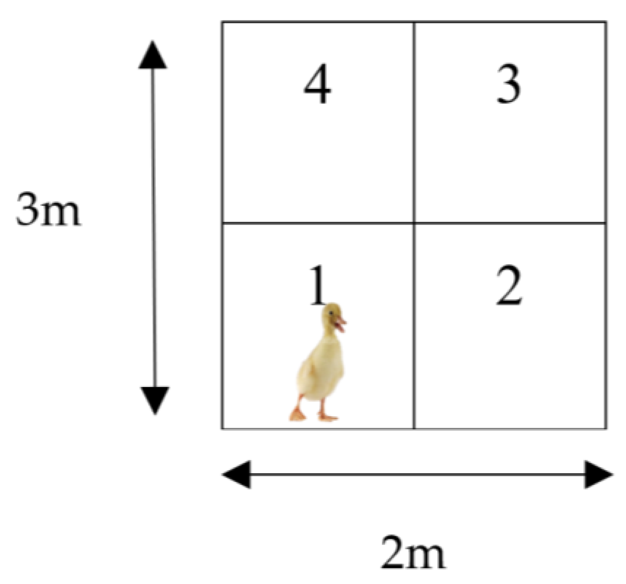 Animals 12 03479 g001