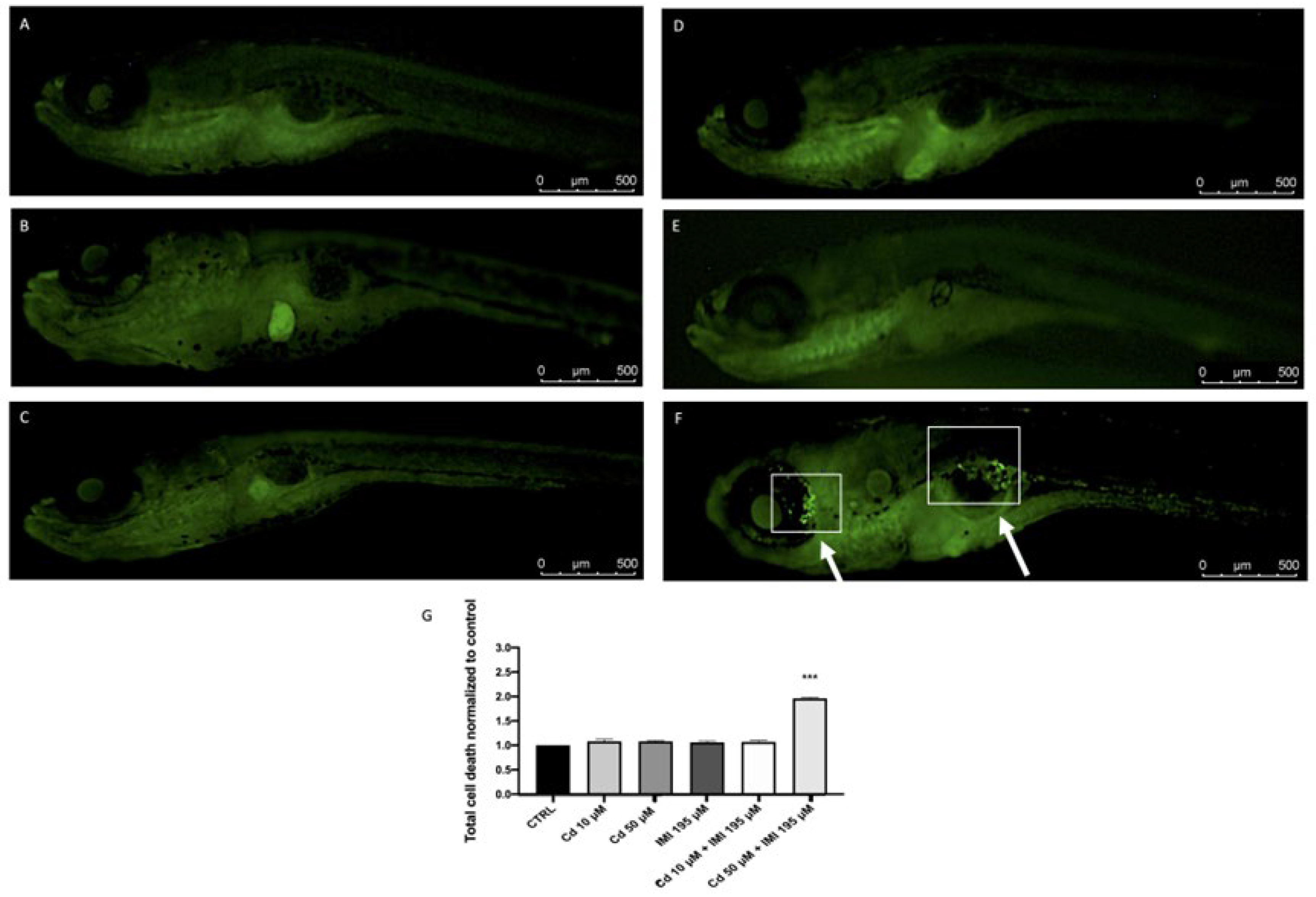 Animals 12 03484 g001 Animals 12 03484 g001