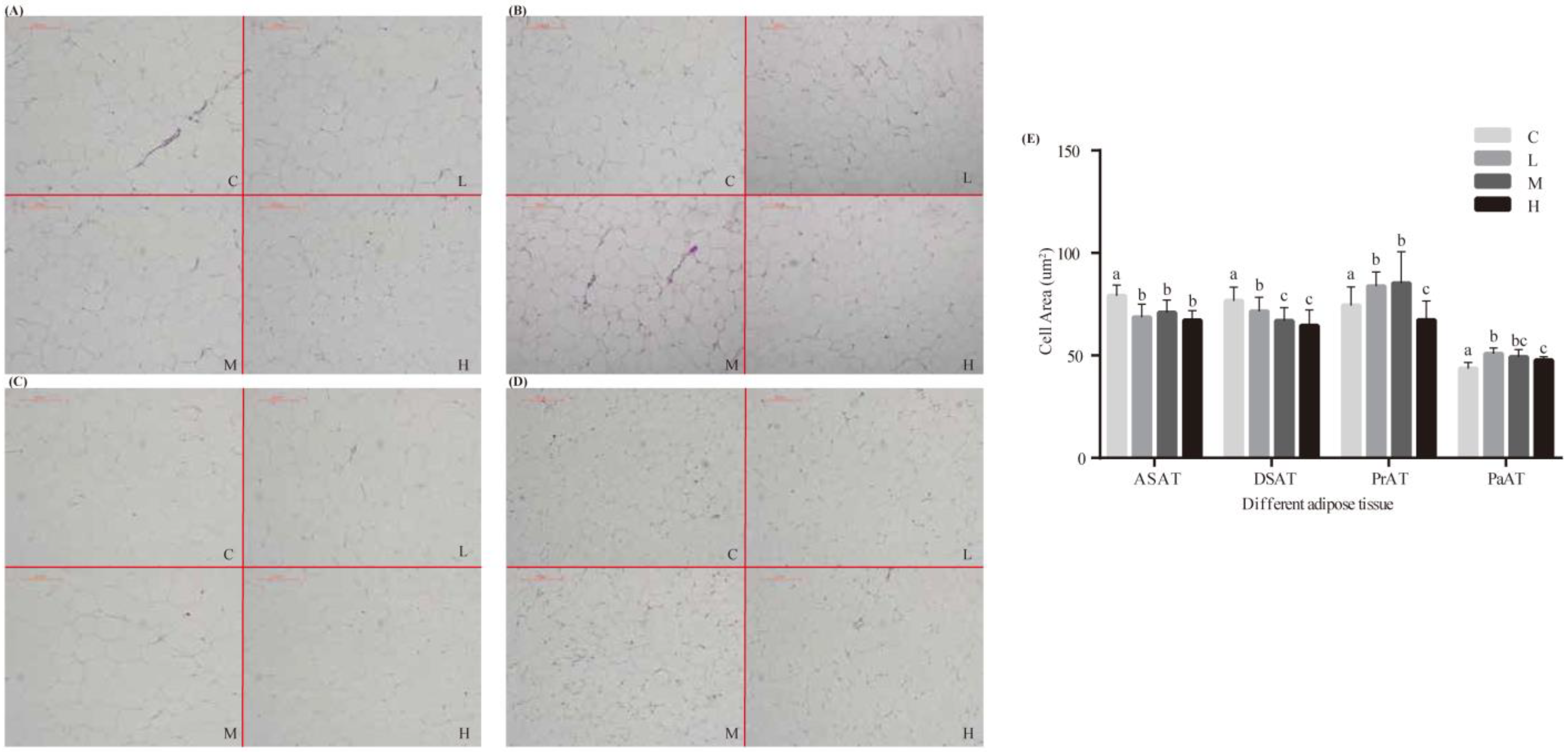 Animals 12 03486 g001 Animals 12 03486 g001