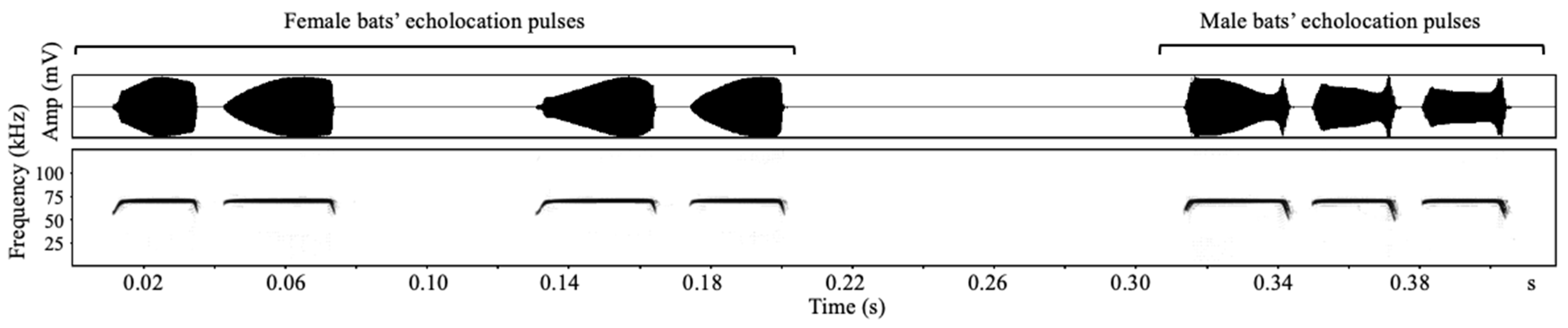 Animals 12 03490 g001 Animals 12 03490 g001