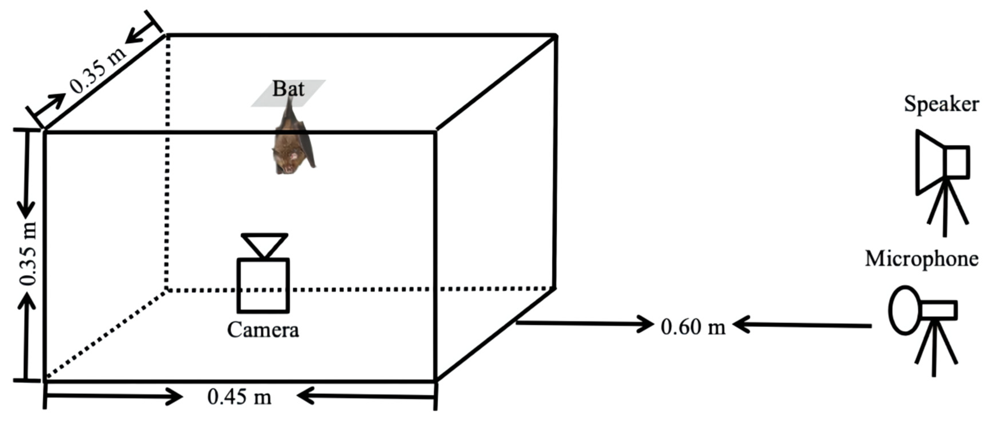 Animals 12 03490 g004 Animals 12 03490 g004