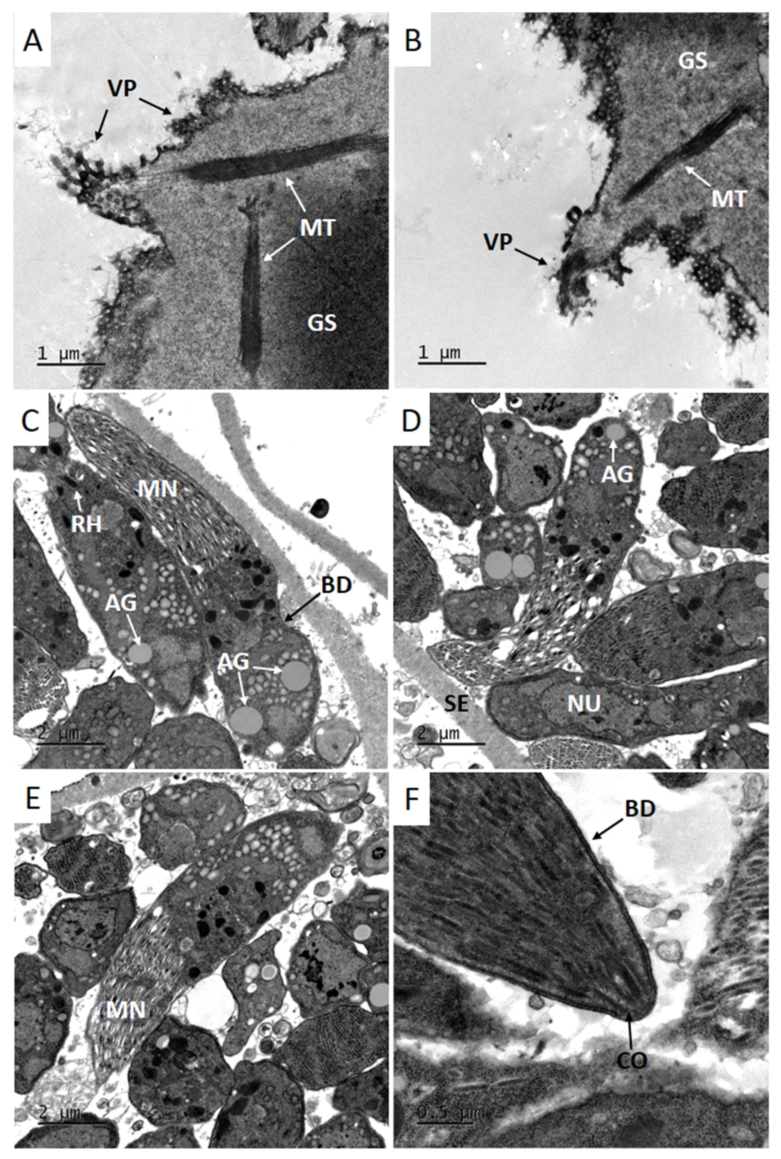 Animals 12 03491 g002 Animals 12 03491 g002