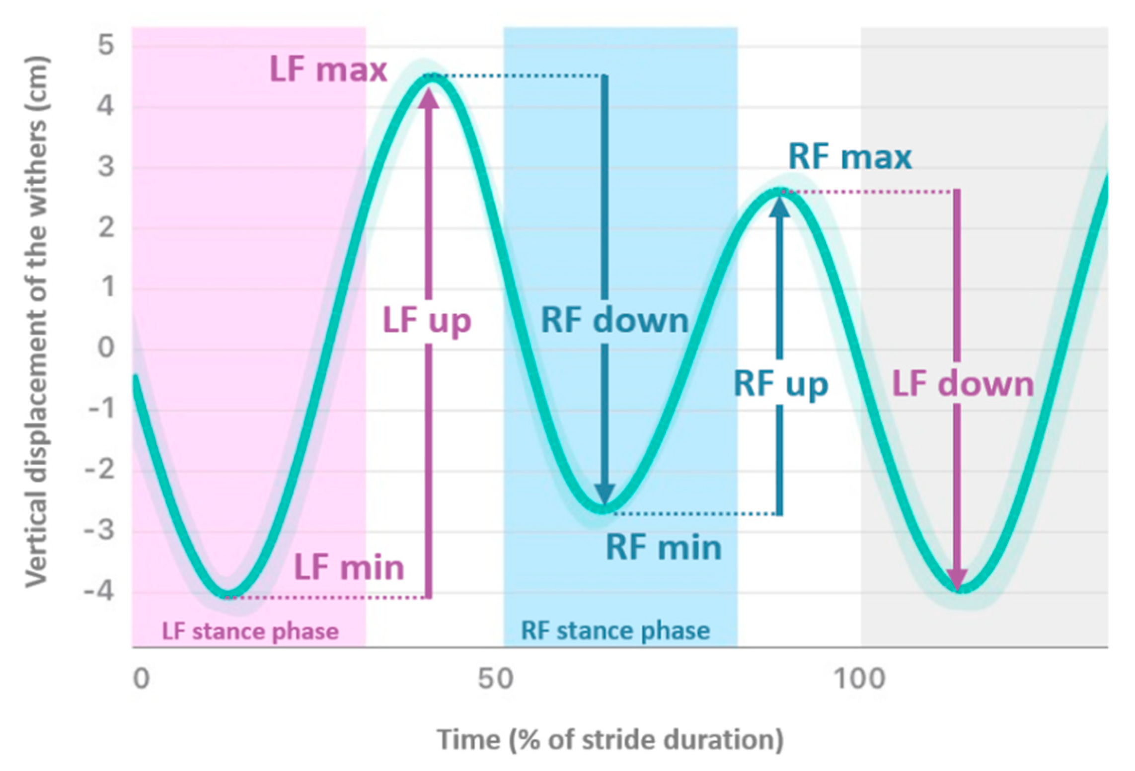 Animals 12 03498 g002