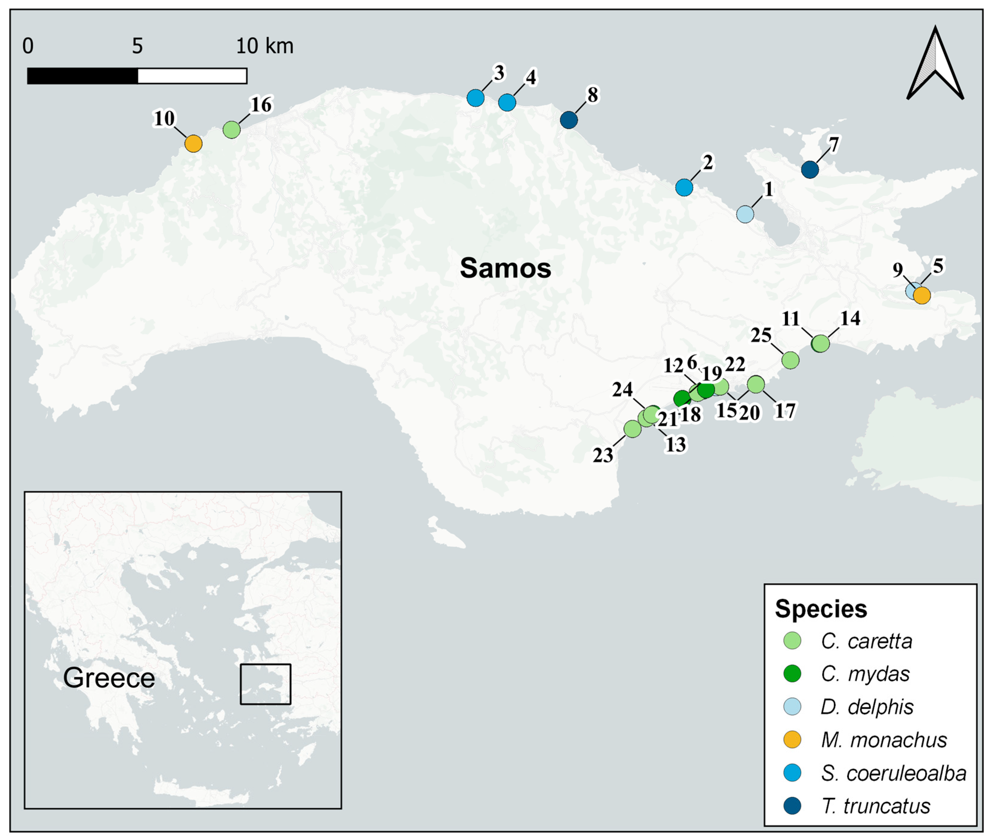 Animals 12 03499 g001