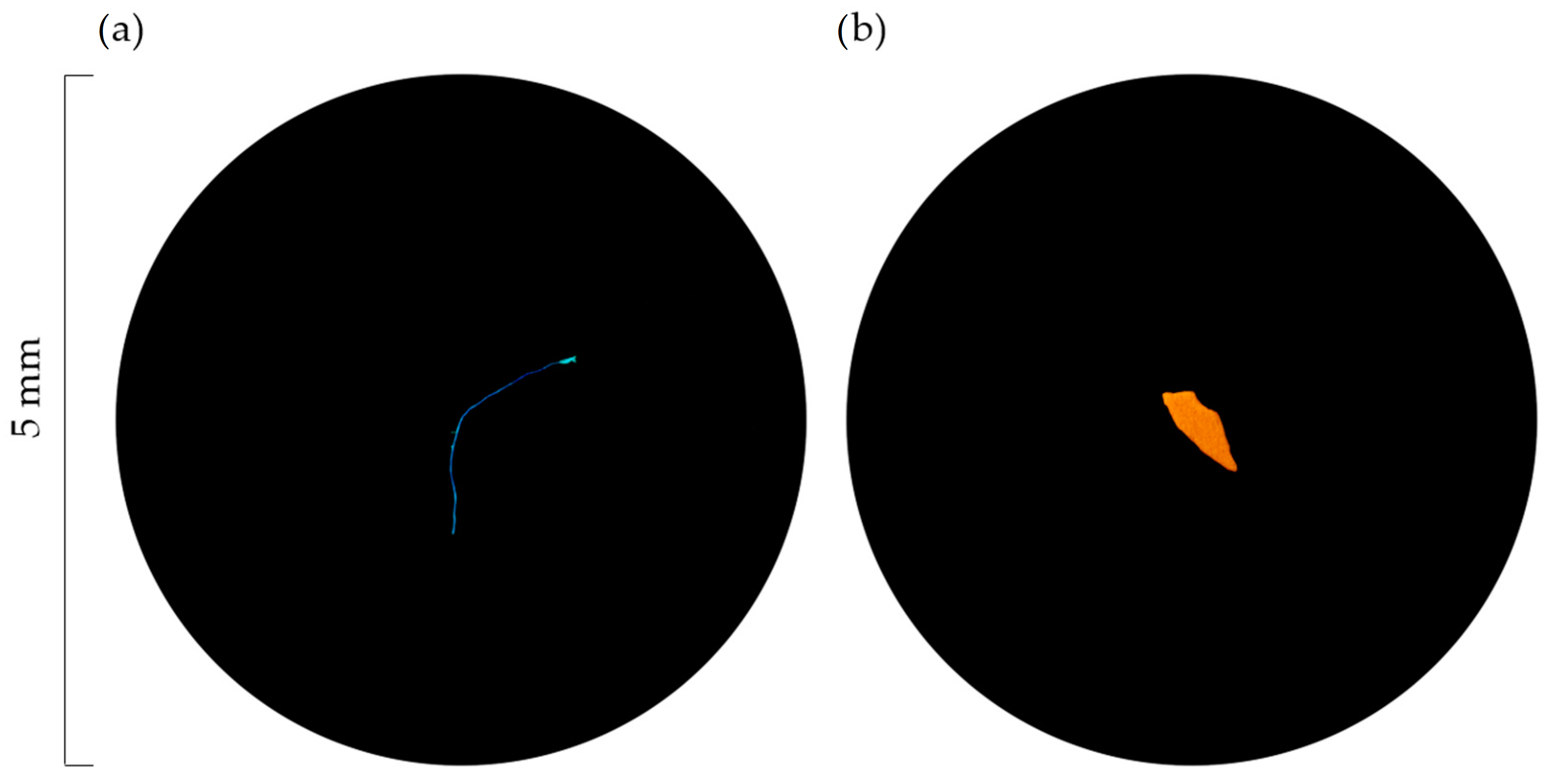 Animals 12 03499 g002