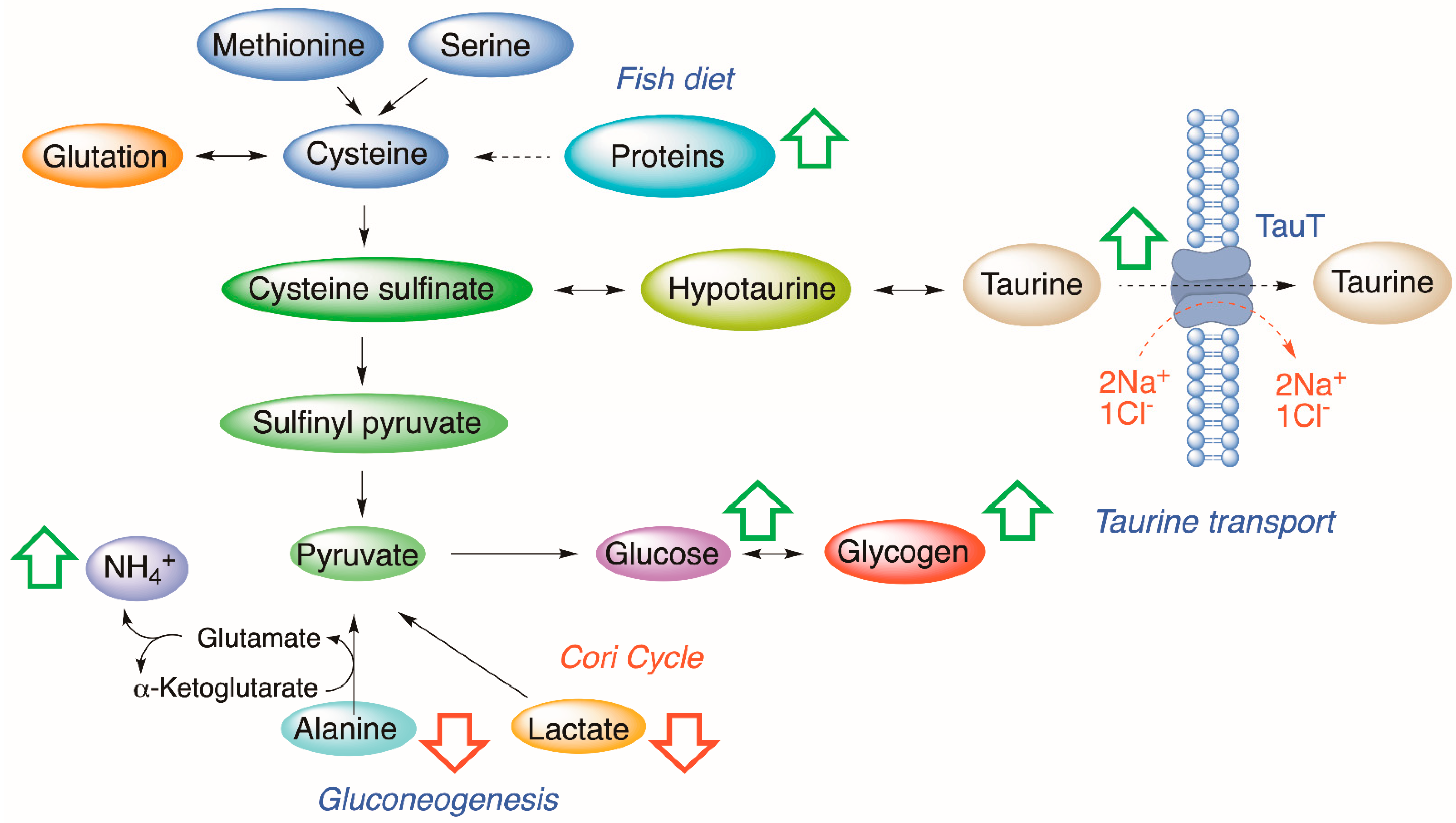 Animals 12 03500 g004 Animals 12 03500 g004