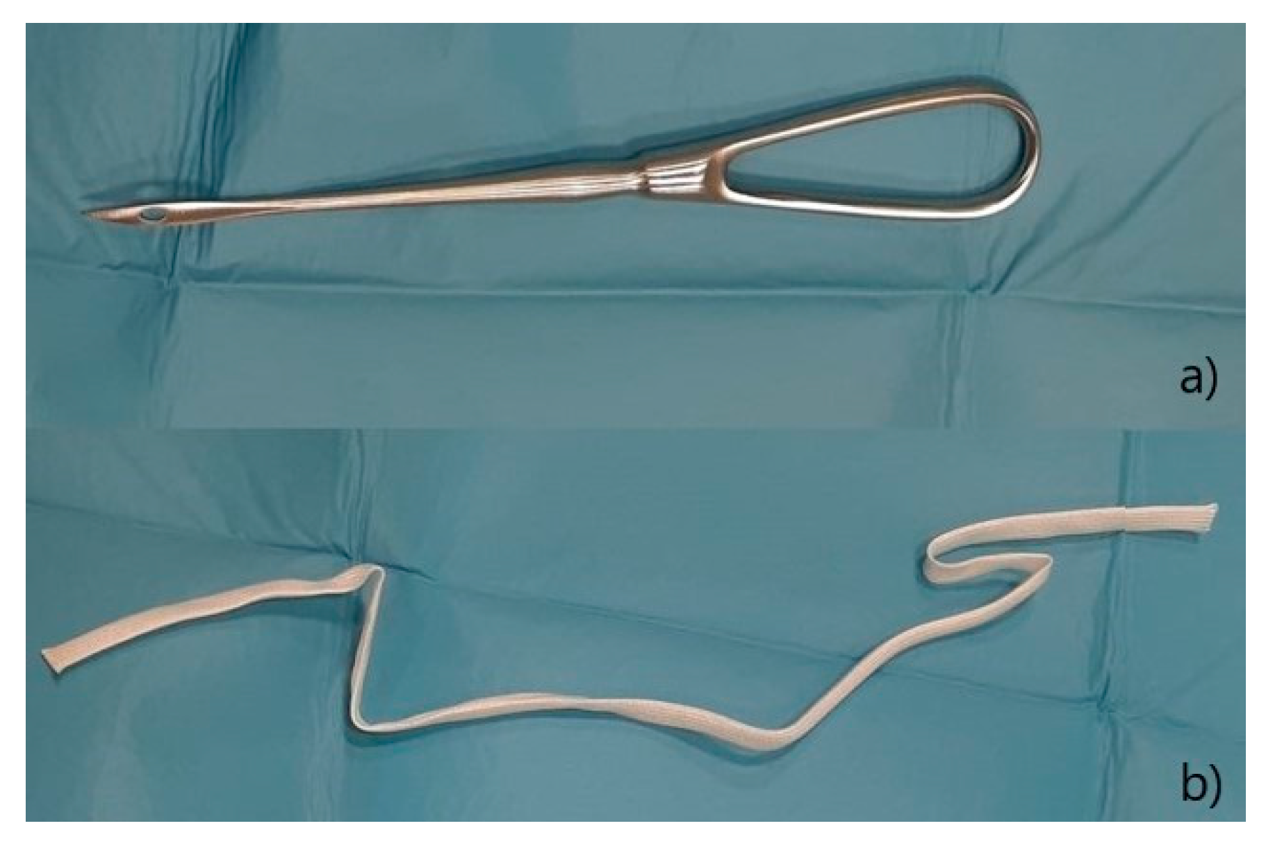 Animals 12 03505 g003